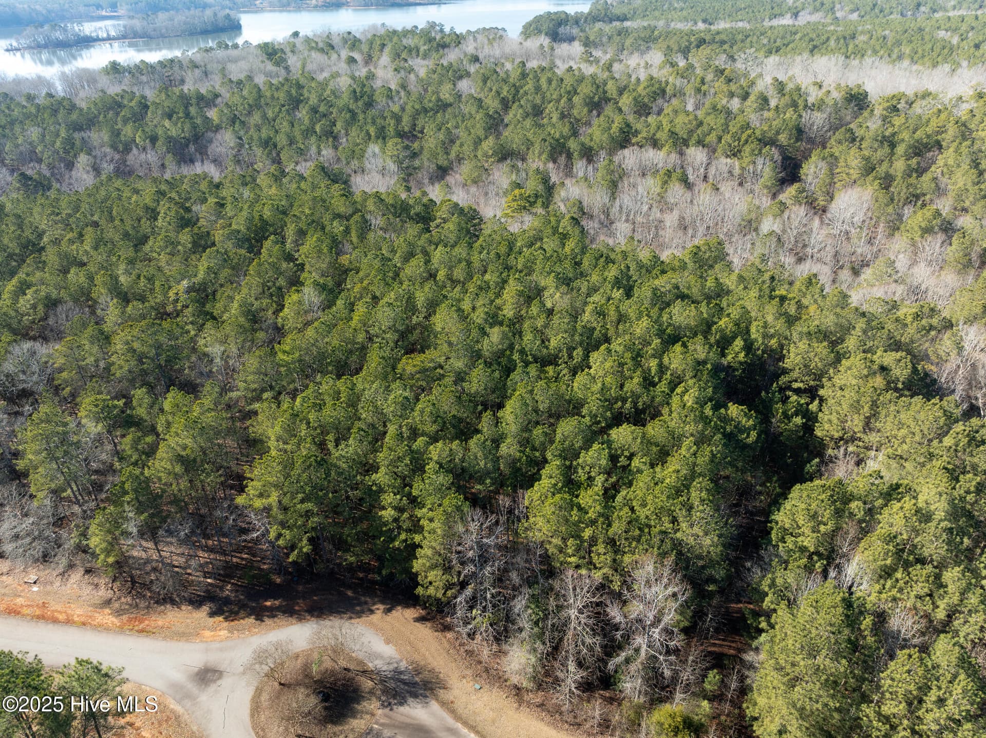 Residential Lot at 141 N State Lane, Rockingham, NC 28379, photo 3 of 17