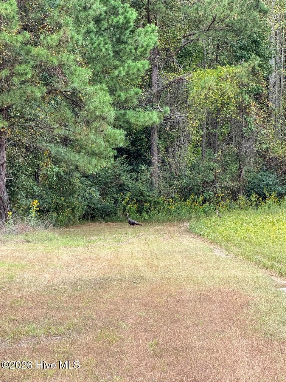 Single Family Residence at 1708 Nc Highway 45, Cofield, NC 27922, photo 50 of 86