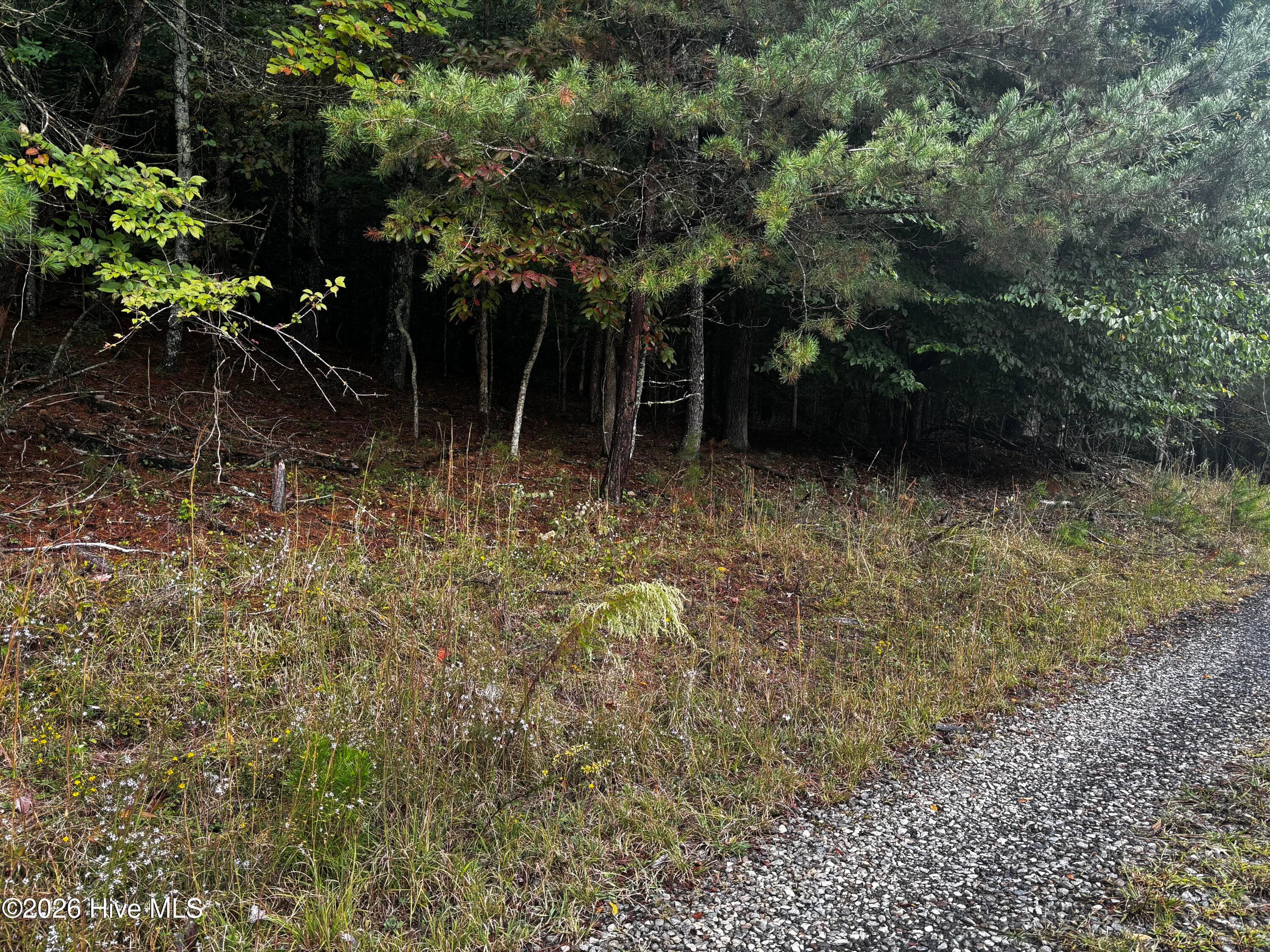 Wooded at Lot 6 6 Joyce Road, Murphy, NC 28906, photo 2 of 5