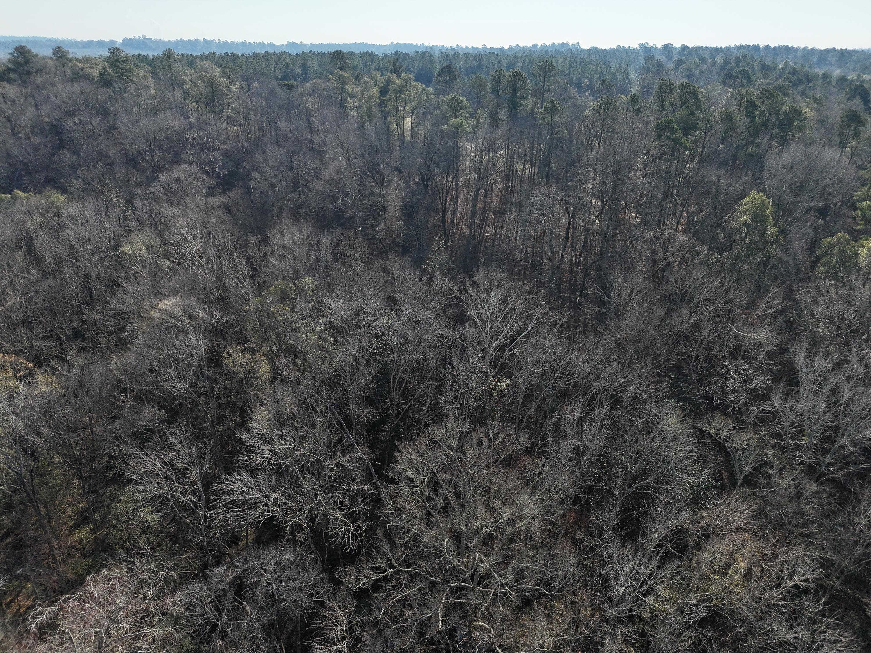 Undeveloped at 0 Ponderosa Road, Waynesboro, GA 30830, photo 11 of 45