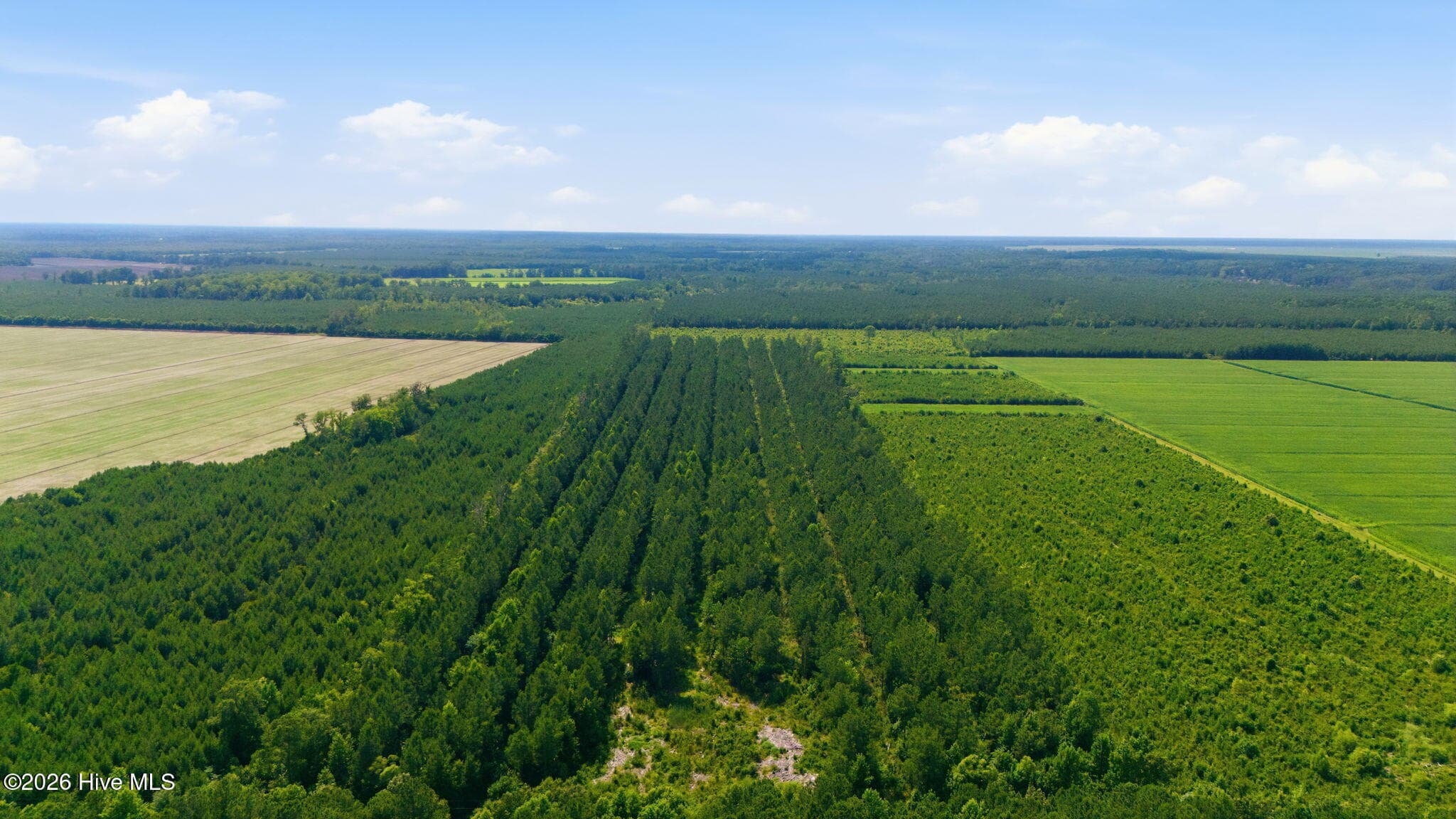 0 Spain Farm Road, Stonewall, NC 28583