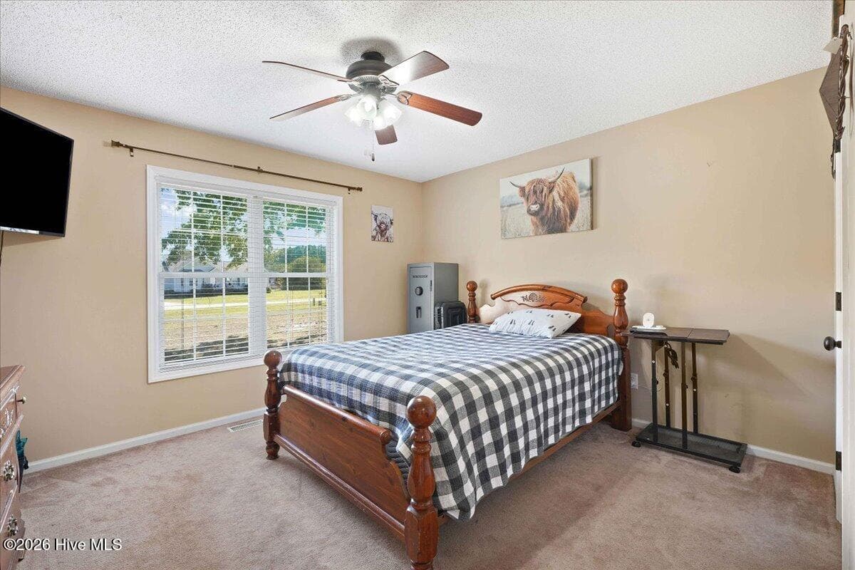Single Family Residence at 209 Davis Farm Drive, Selma, NC 27576, photo 29 of 36
