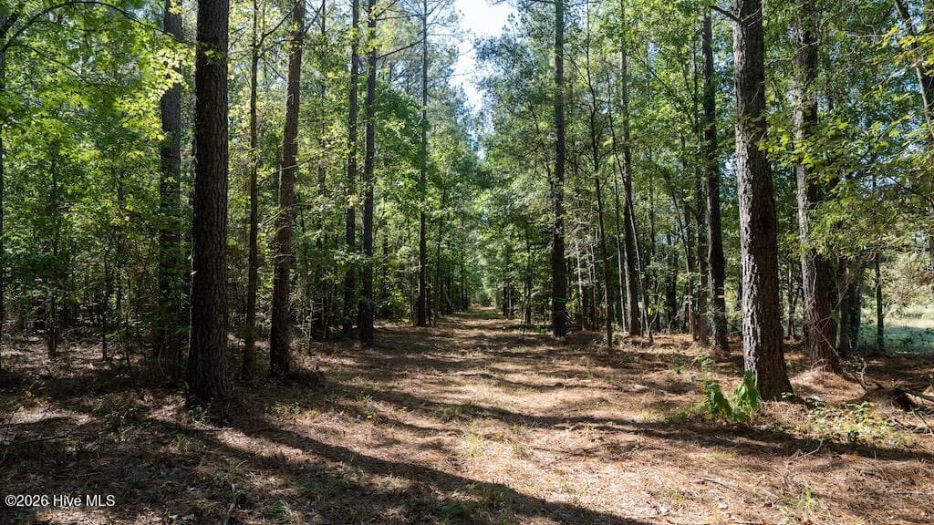 Mixed Use at 0 Spring Hill Road, Scotland Neck, NC 27874, photo 58 of 93