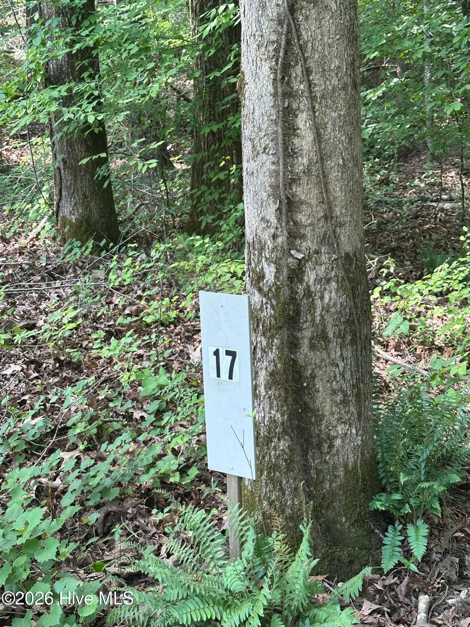 Lot Marker at Path going into the property - Lot 17 Lakeshore Estates Drive, Lincolnton, GA 30817