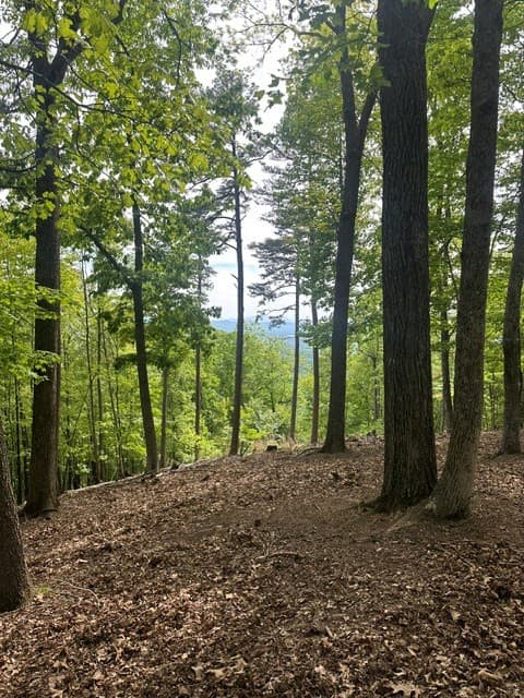 Land at Lot 4 Hampton Knob, Murphy, NC 28906, photo 5 of 6