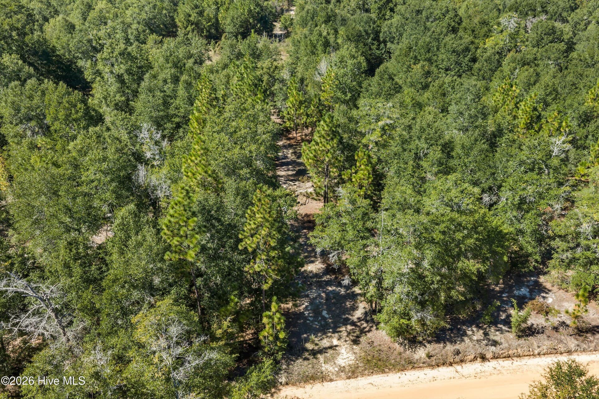 Residential Lot at 000.0 Mary Rawls Road, Wagener, SC 29164, photo 9 of 21