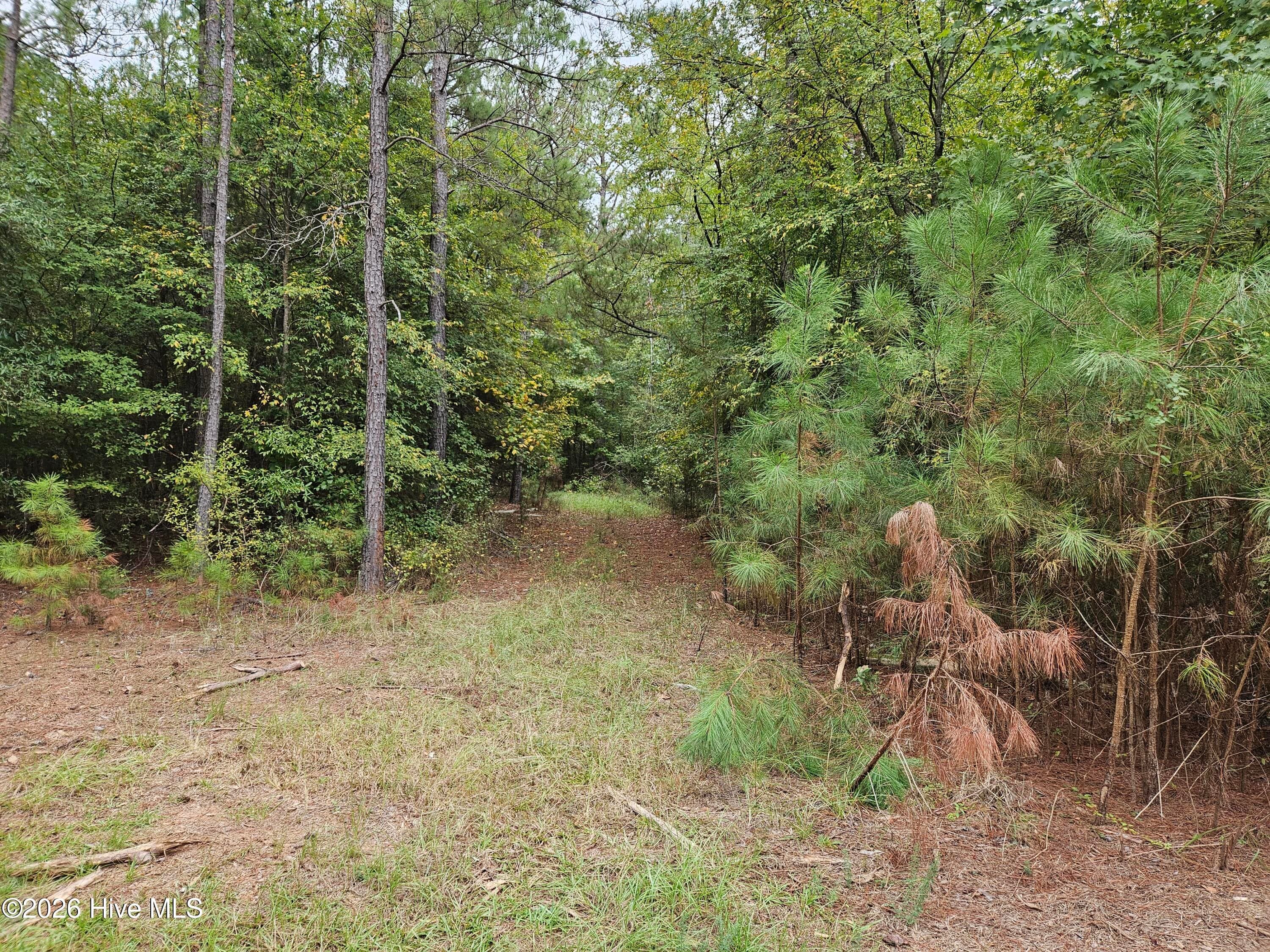 Wooded at 0 Washington Highway, Lincolnton, GA 30817, photo 3 of 11