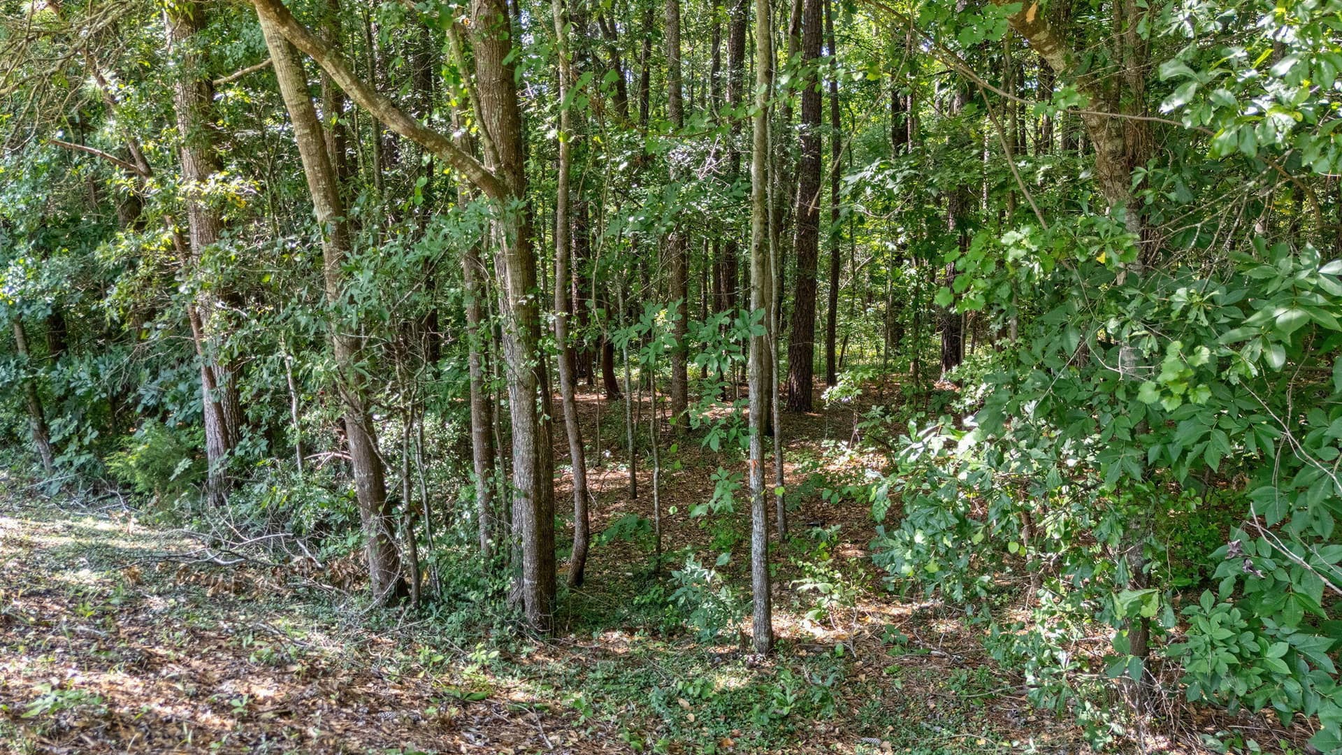 Undeveloped at 14 Woodspring Court, North Augusta, SC 29860, photo 10 of 12