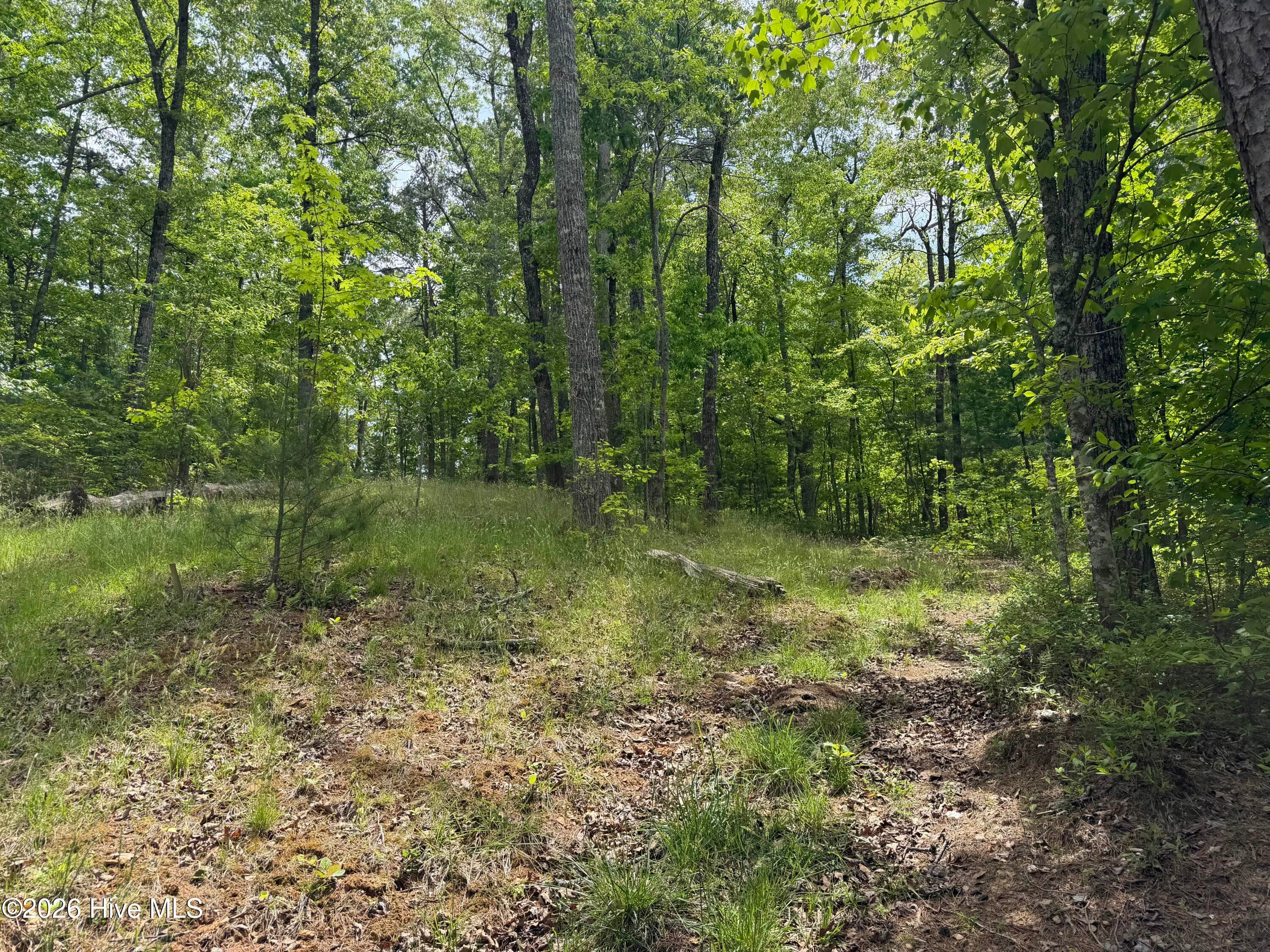Residential Lot at Multi Lots Black Fox Drive, Murphy, NC 28906, photo 15 of 15