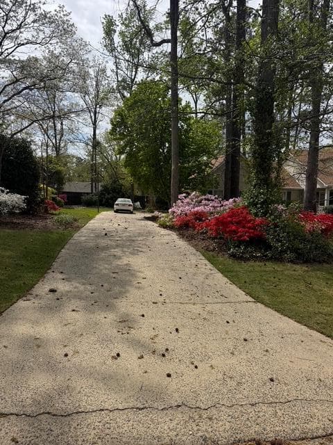 Single Family Residence at 330 Habersham Road, Martinez, GA 30907, photo 49 of 50
