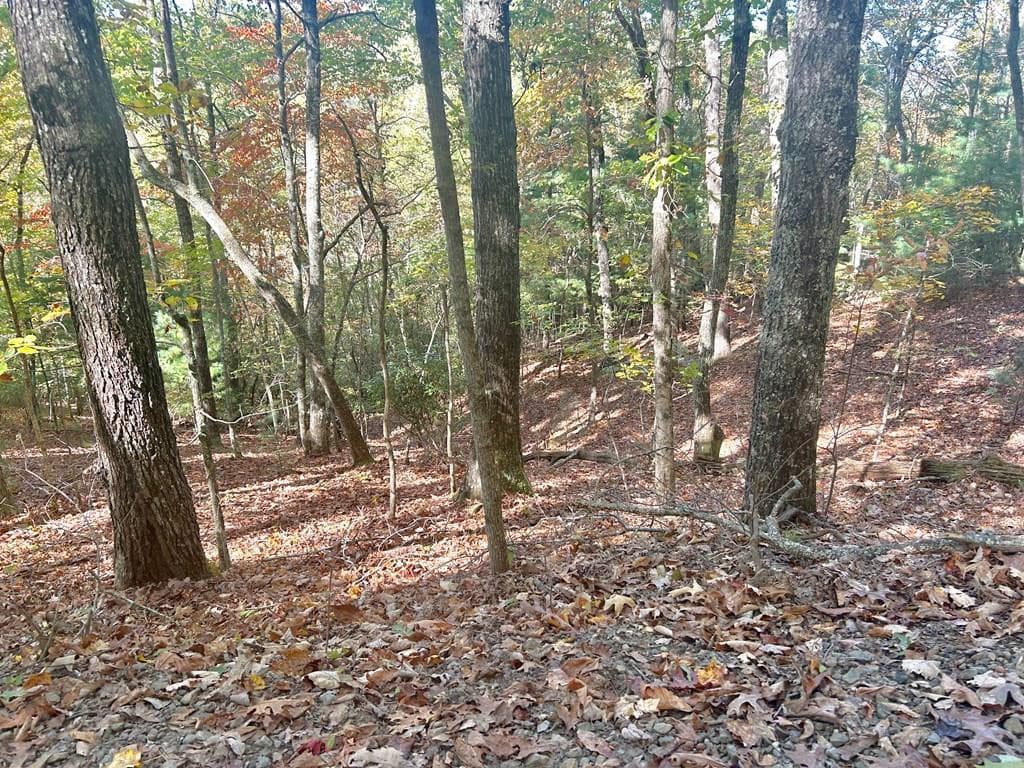 Lot 4 4 Ridgeline, Brasstown, NC 28902