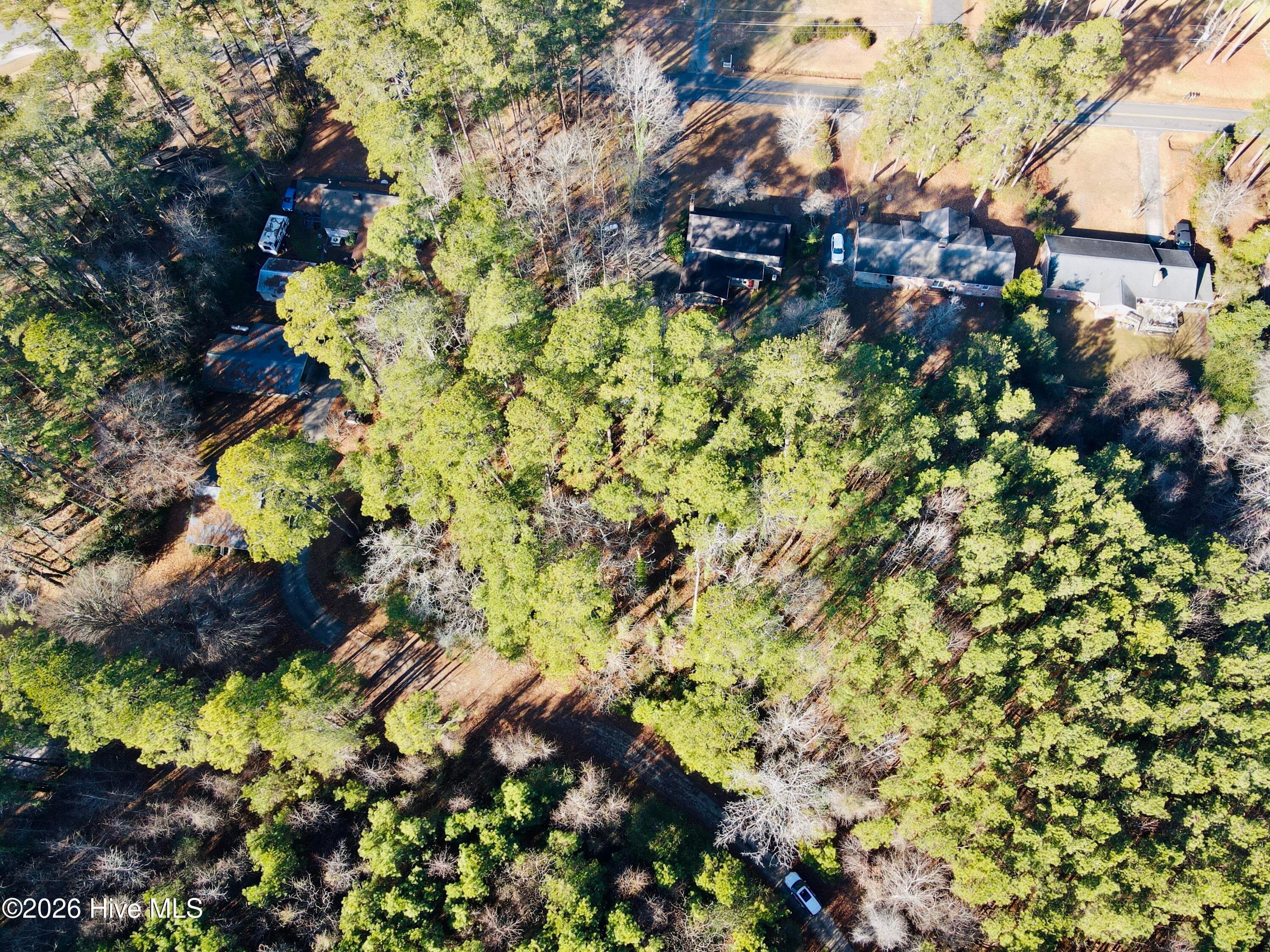 Wooded at 0 Alexander Lane, Williamston, NC 27892, photo 2 of 11