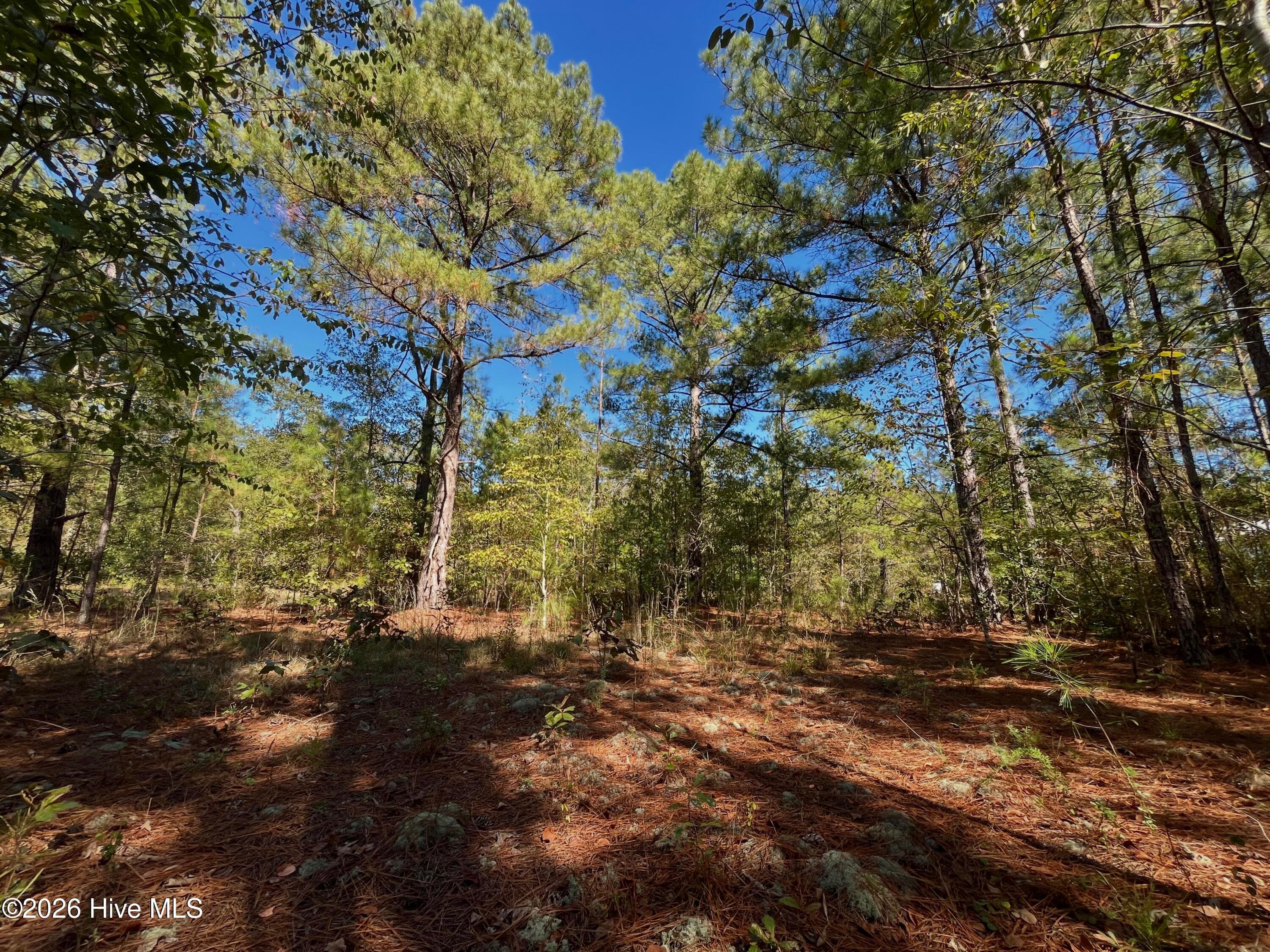 Residential Lot at Lot 9 Jasper Davis Road, Avera, GA 30803, photo 20 of 21