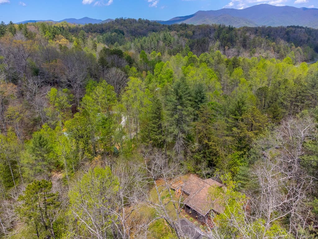 Single Family Residence at 138 Hubbell Lane, Robbinsville, NC 28771, photo 59 of 63