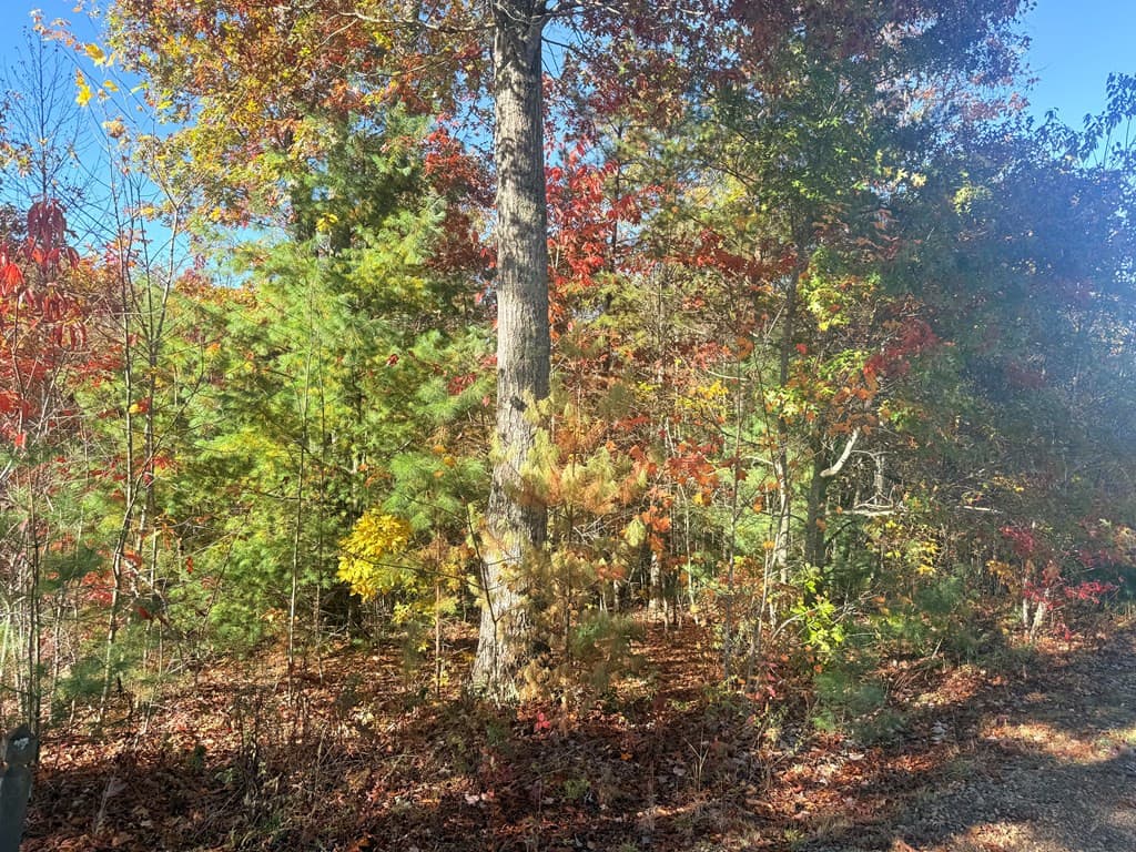 Land at Lot 25 Hideaway Ridge Drive, Murphy, NC 28906, photo 3 of 4