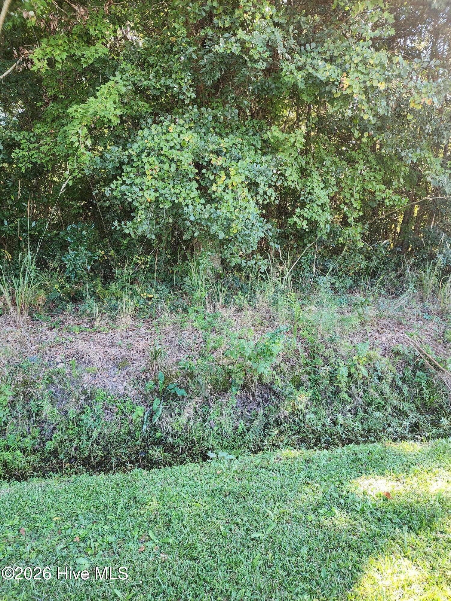 Lot to the Right of 703 - Lot 3 & 4 3 & 4 Hayes West St, Burgaw, NC 28425