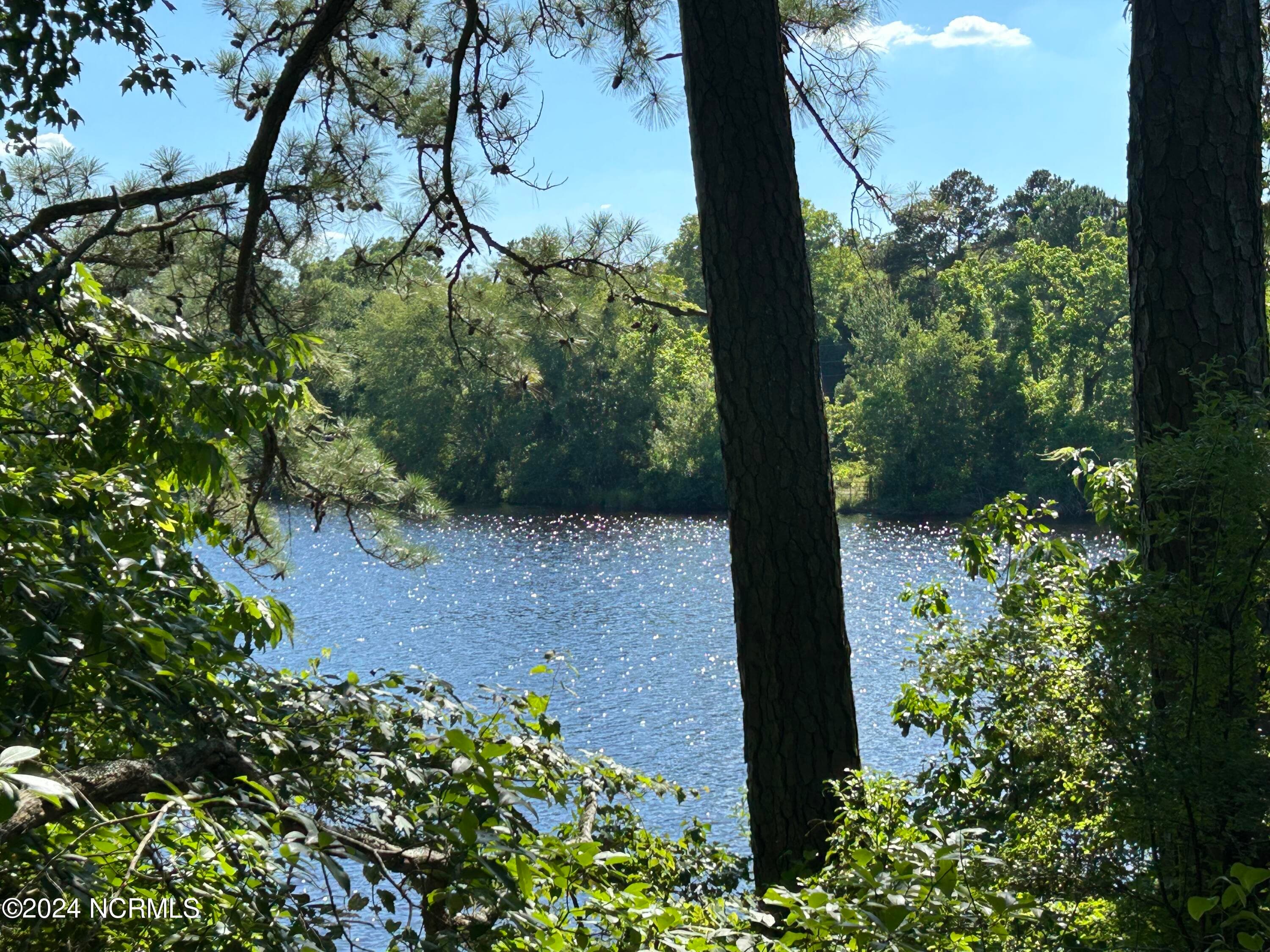 Residential Lot at 112 10 American Legion Road, Rockingham, NC 28379, photo 9 of 15