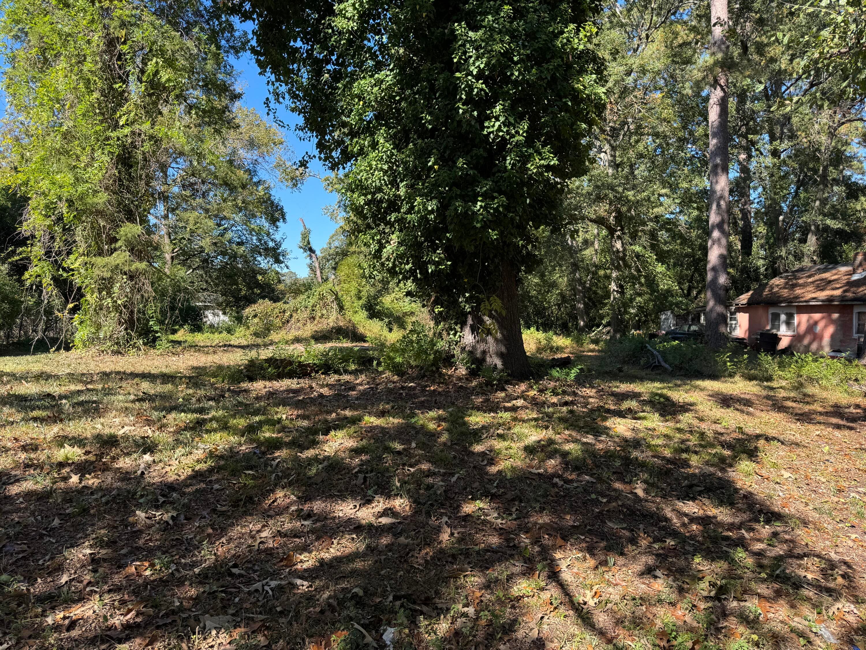 Residential Lot at 543 Basin Street, Augusta, GA 30909, photo 2 of 8