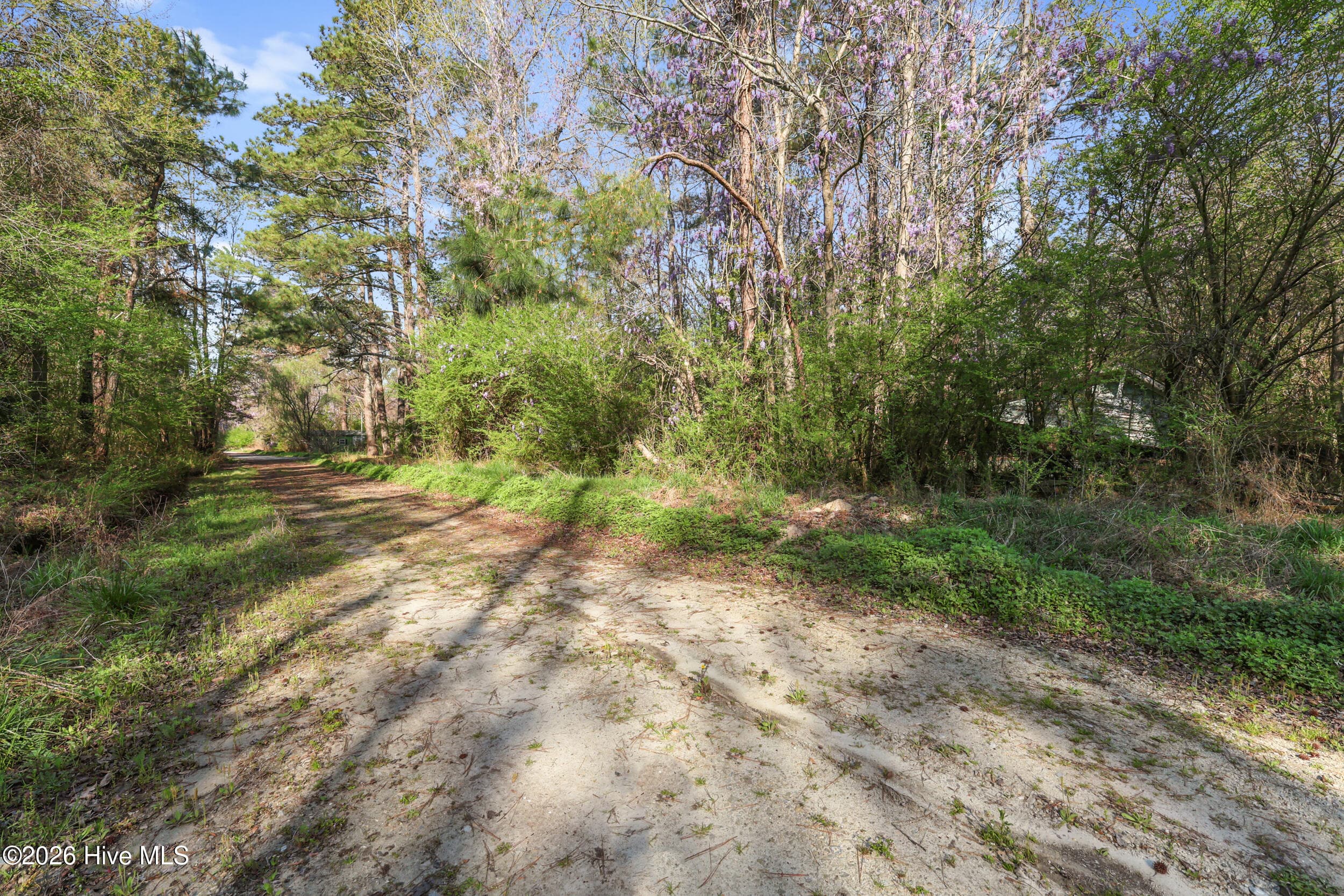 Residential Land at 351 Burgaw Creek Loop Road, Burgaw, NC 28425, photo 3 of 21