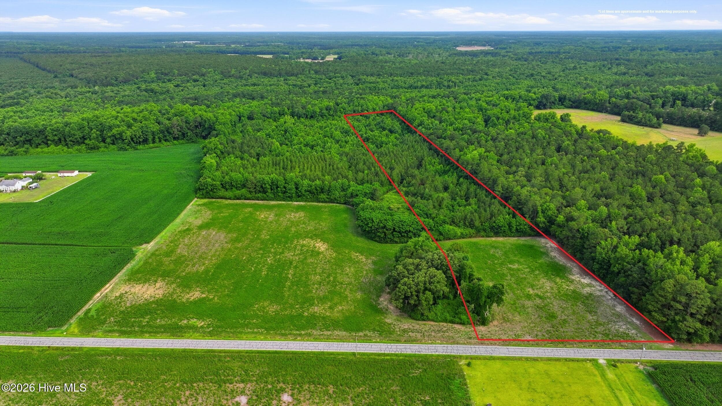 Residential Lot at Lot 9 Point Caswell Road, Willard, NC 28478, photo 4 of 12