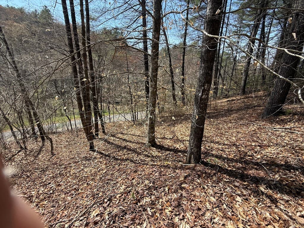 Undeveloped at 0 Morrow Road, Murphy, NC 28906, photo 5 of 5