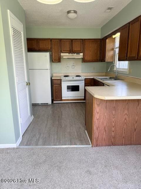 Single Family Residence at 2218 Bridle Trail, Midway Park, NC 28544, photo 5 of 60