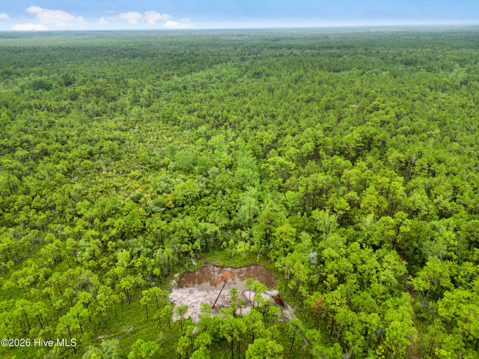 Tract 2 Hwy 17 Off, Hampstead, NC 28443