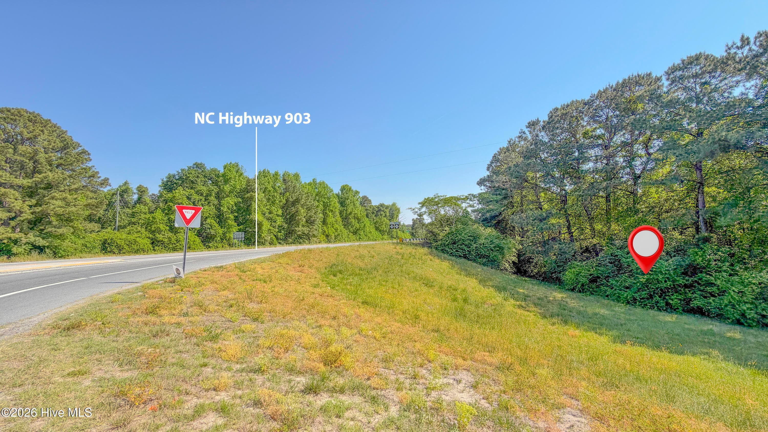 Undeveloped at 1300 Nc-11, Magnolia, NC 28453, photo 10 of 25