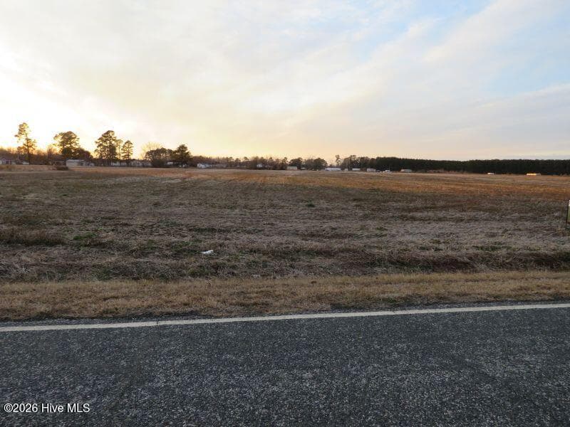 Residential Lot at 7.7 Ac +/- 4 and 5 McKellar Road, Fairmont, NC 28340, photo 4 of 9