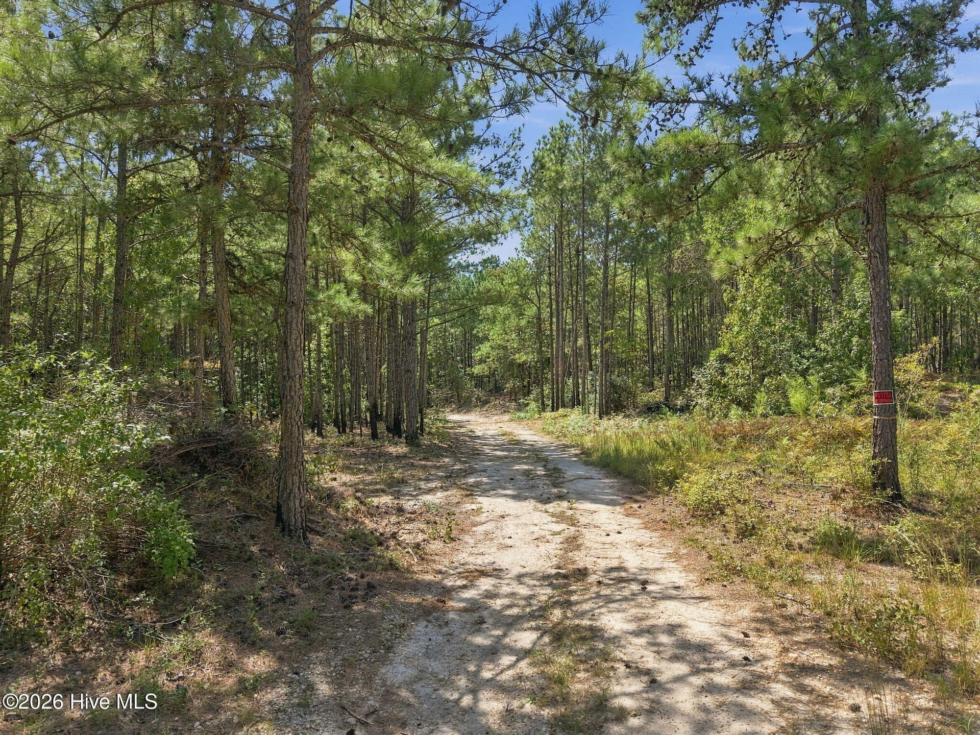 Undeveloped at 260 Full Bright Lane, Cameron, NC 28326, photo 14 of 15