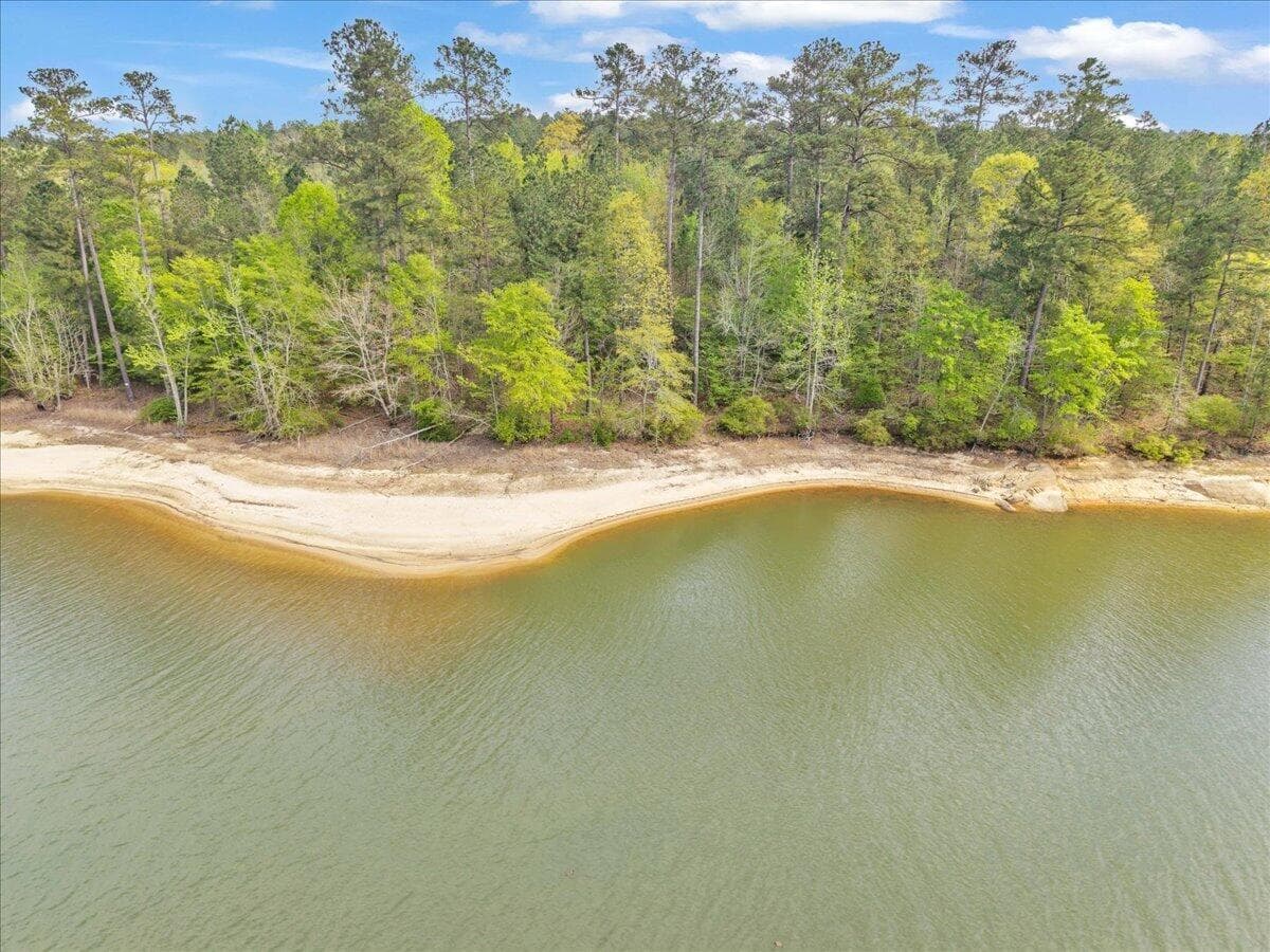 Residential Lot at Lot 65 65 Maiden Cane Way, Lincolnton, GA 30817, photo 43 of 59
