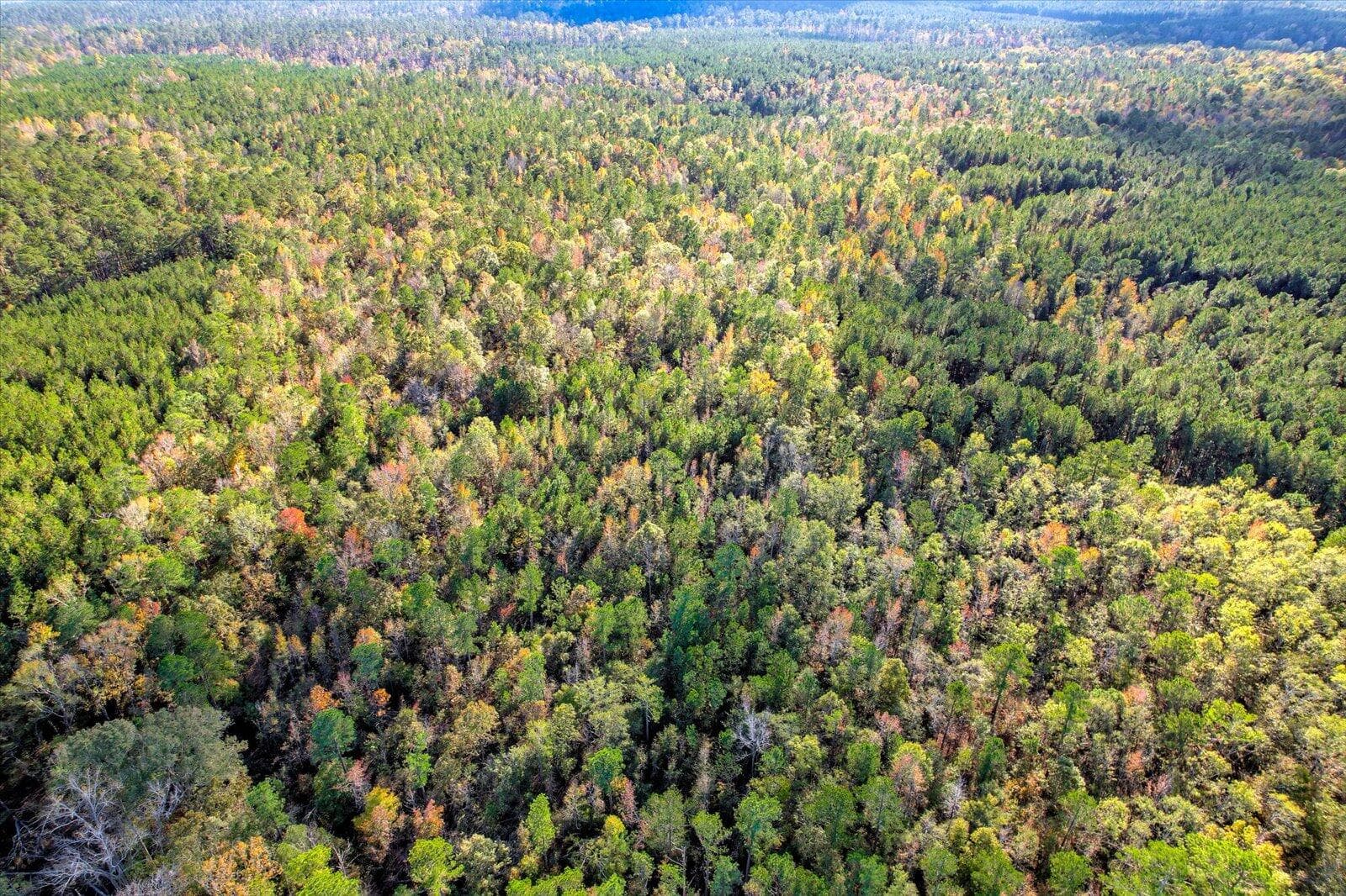Undeveloped at Tbd2 Sc-23, Edgefield, SC 29824, photo 16 of 41
