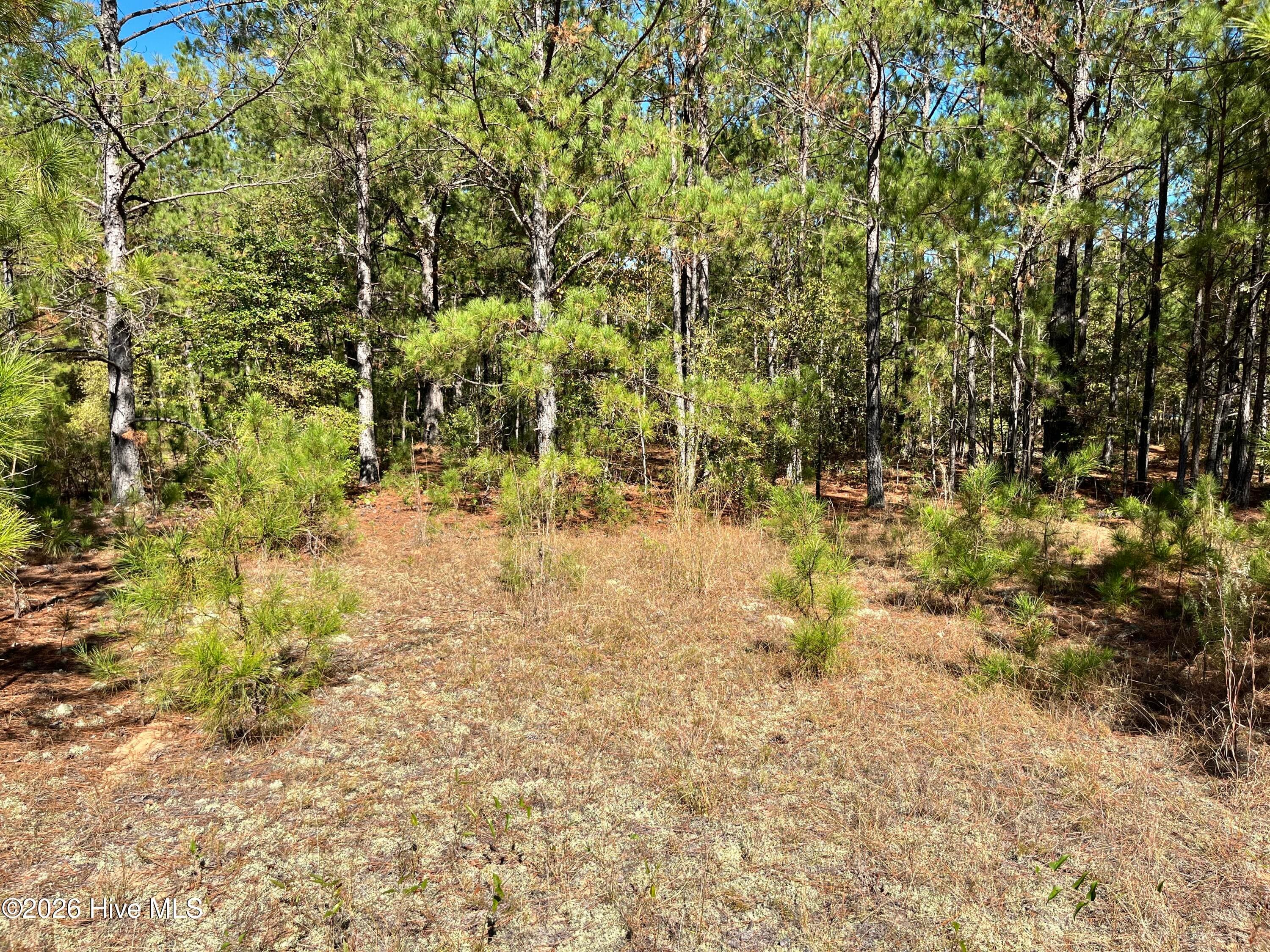 Residential Lot at Lot 9 Jasper Davis Road, Avera, GA 30803, photo 5 of 21