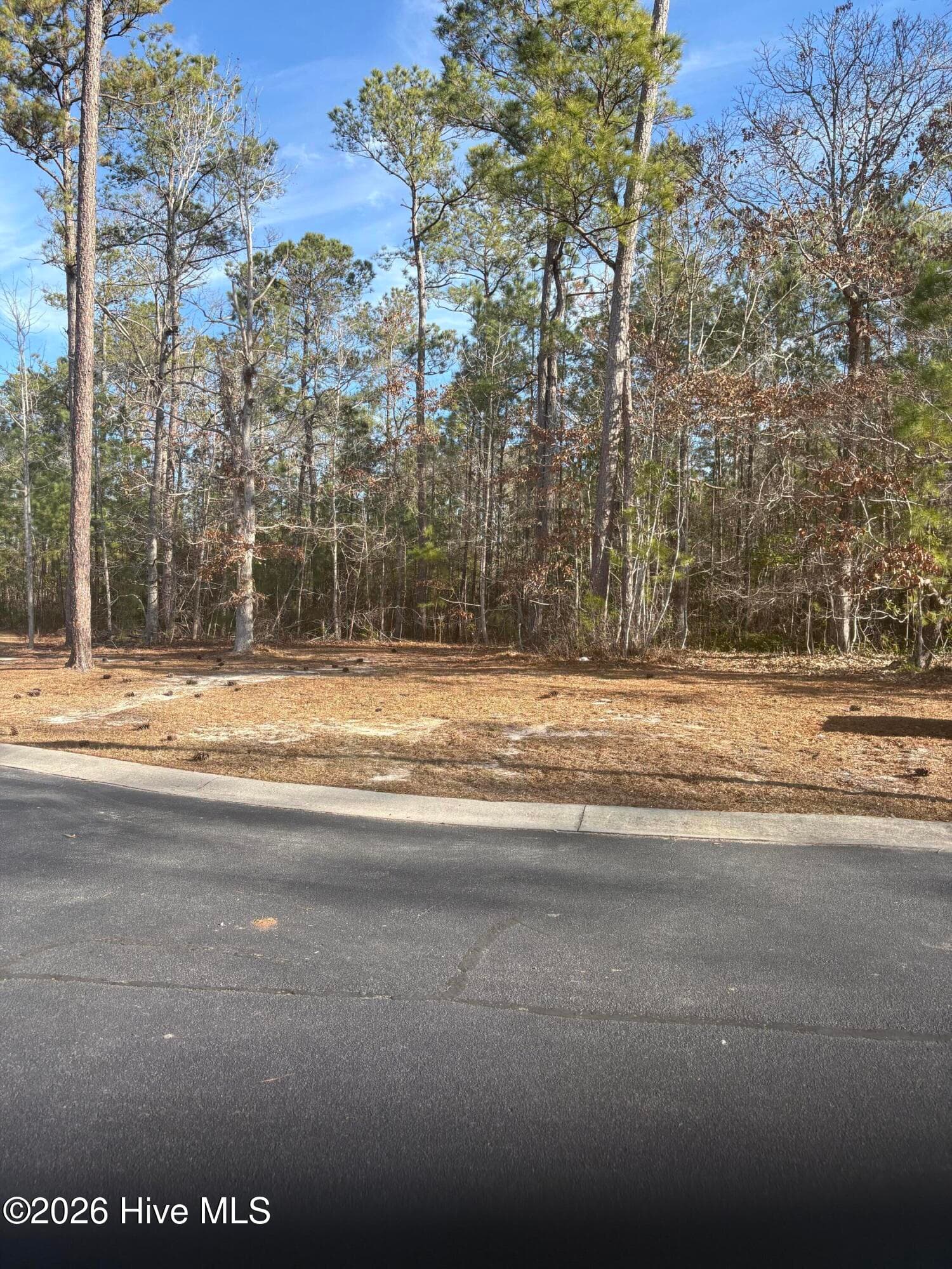 1206 25 Mandevilla Drive SE, Bolivia, NC 28422