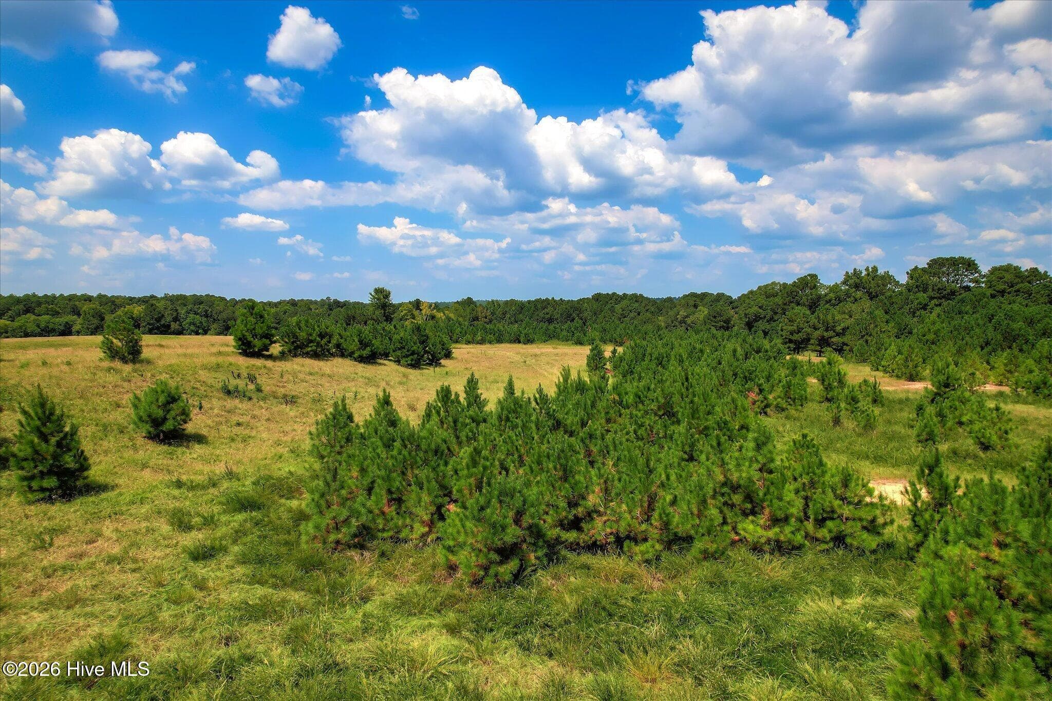 Farm at 2207 Mccormick Highway, Lincolnton, GA 30817, photo 4 of 14
