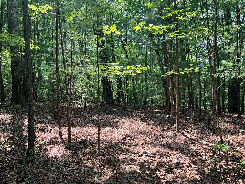 Land at 5 Birds View Lane, Murphy, NC 28906, photo 12 of 17