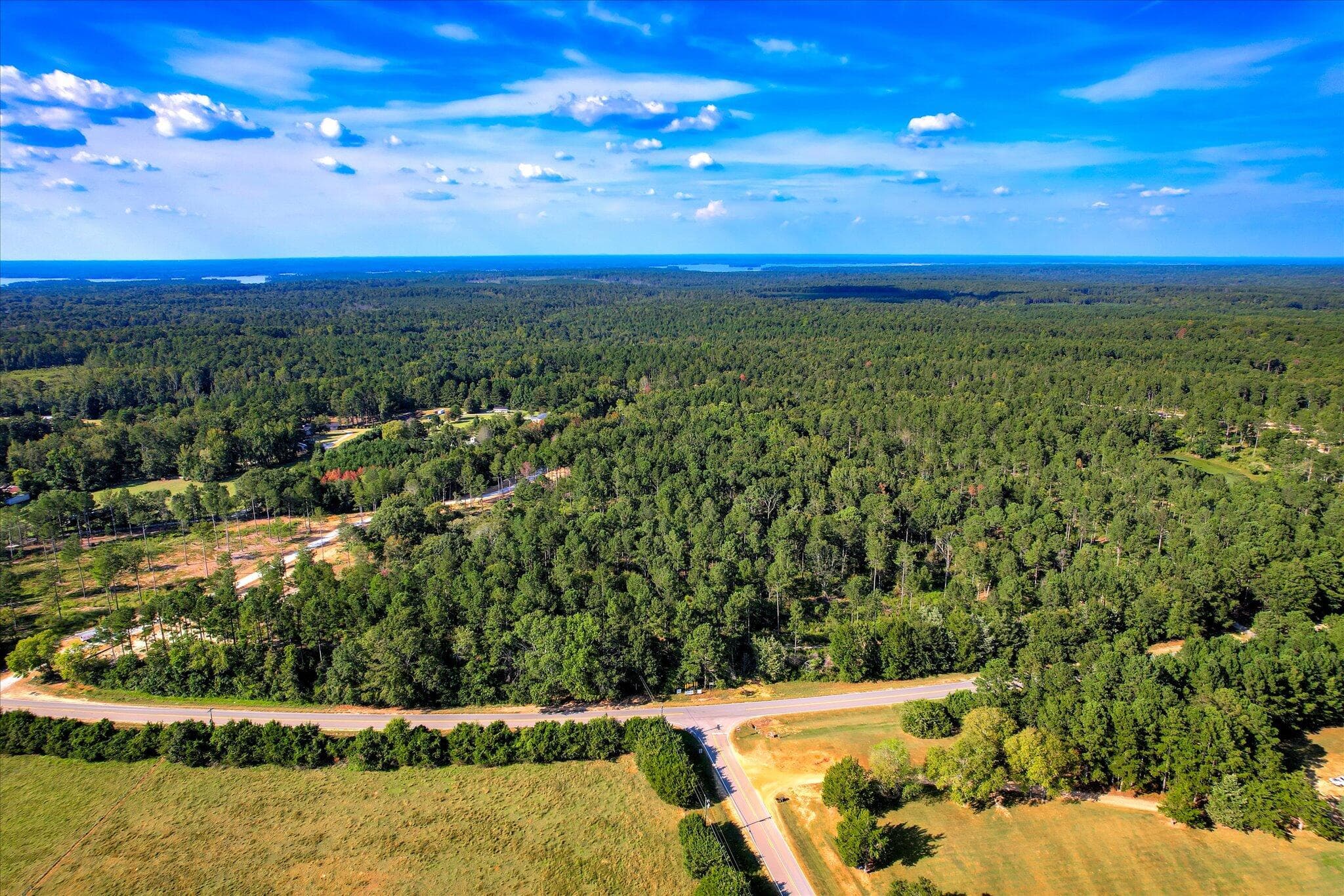 Undeveloped at 6345 18 Cobbham Road, Appling, GA 30802, photo 2 of 5