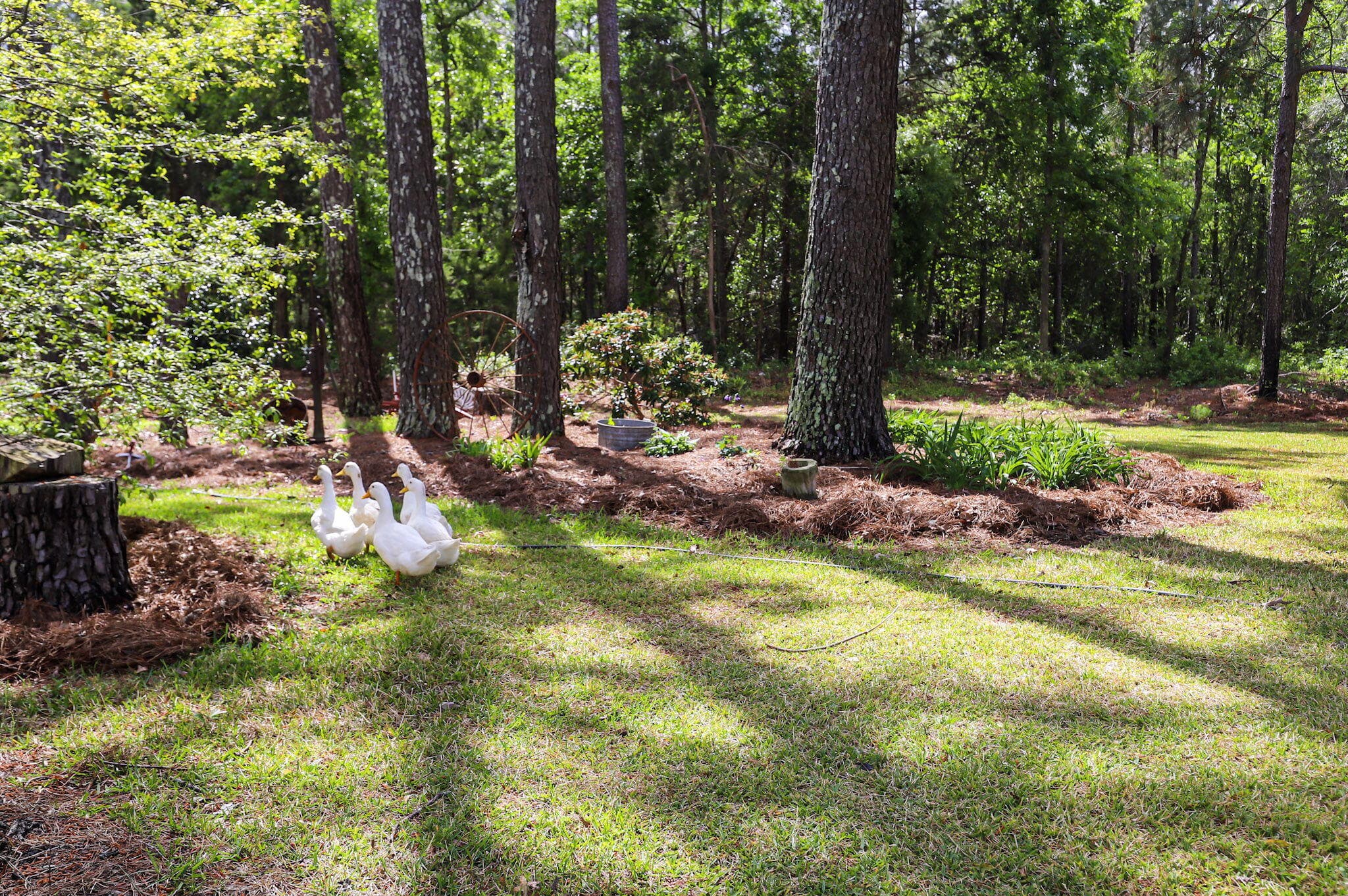 Single Family Residence at 9466 Clarks Mill Road, Avera, GA 30803, photo 61 of 72