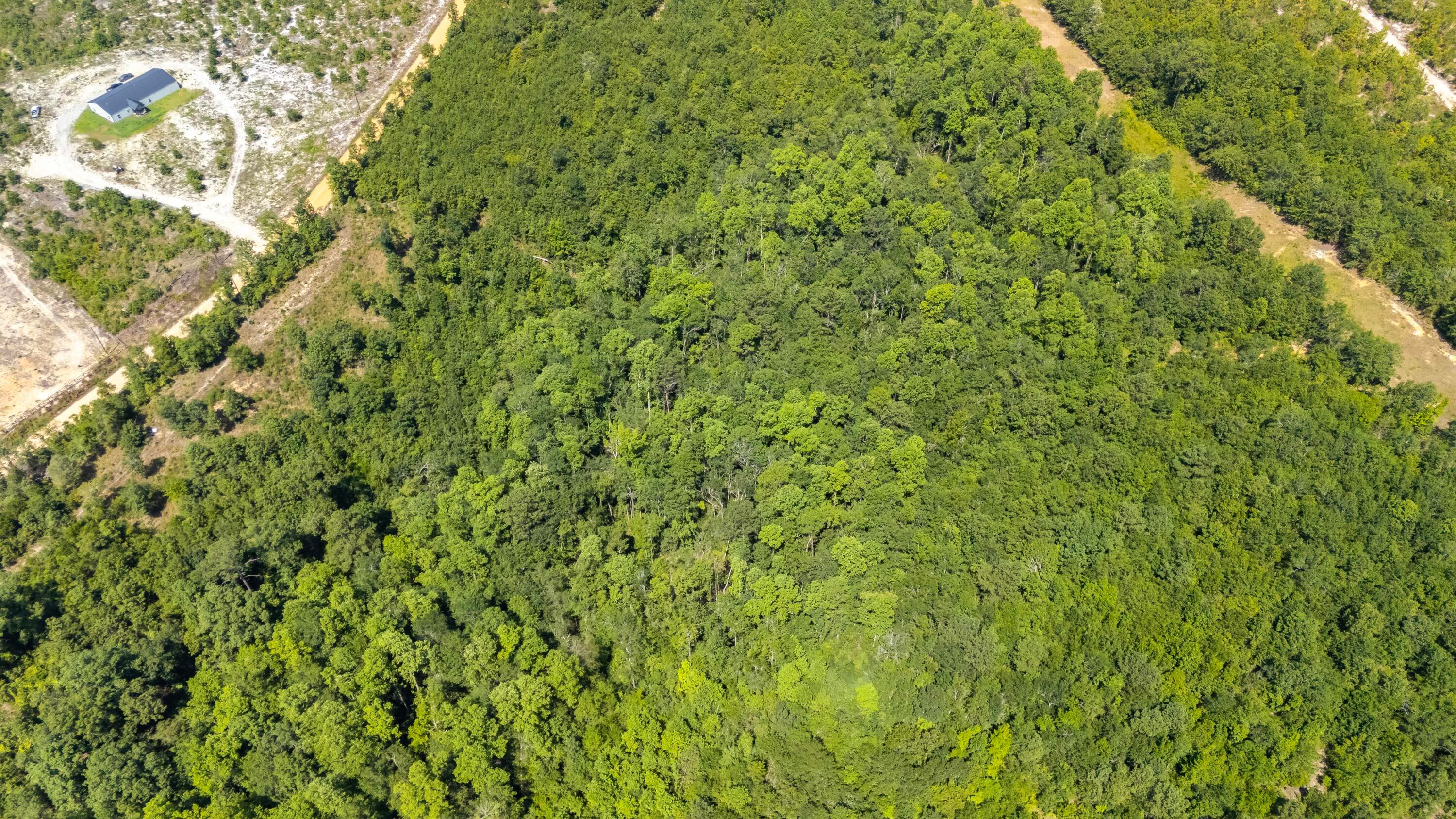 Undeveloped at 2576 Jessie James Pond Road, Wrens, GA 30833, photo 6 of 56