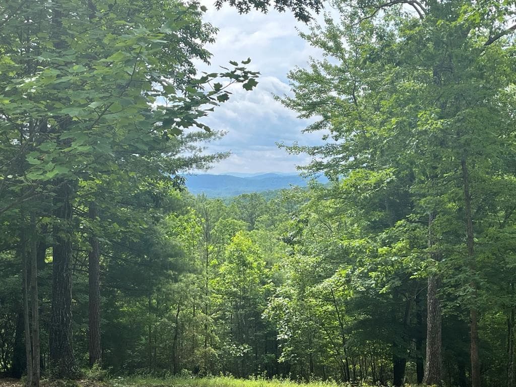 Lot 49 49 Burger Road, Murphy, NC 28906