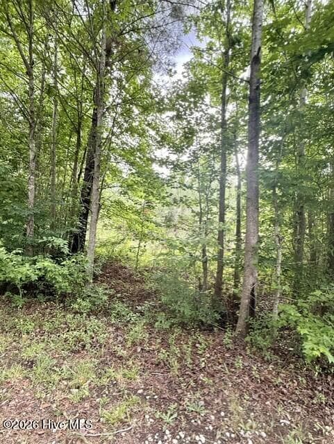 Residential Lot at 1537 Joy Road, Harlem, GA 30814, photo 2 of 7