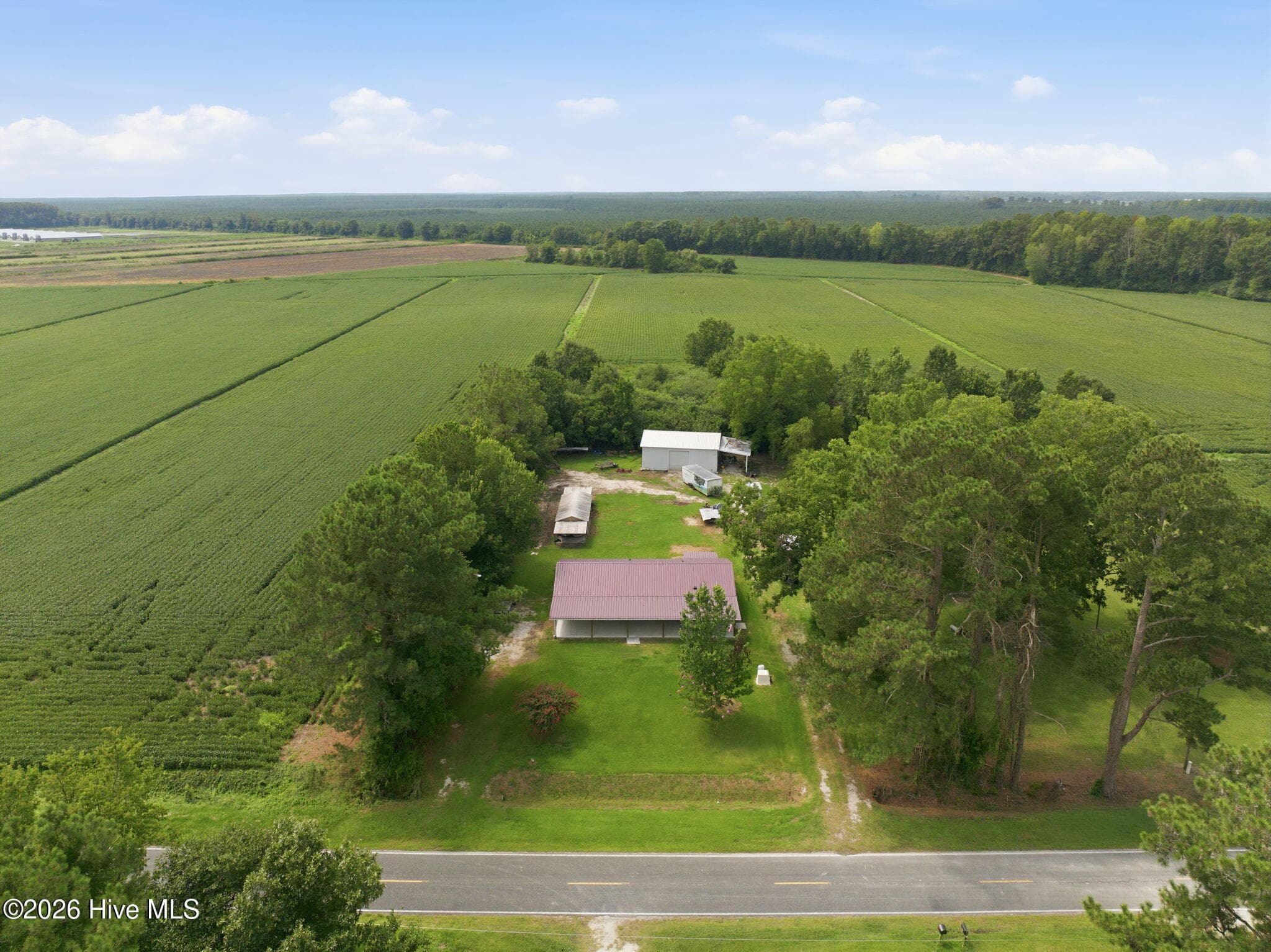 Single Family Residence at 1971 Raccoon Road, Willard, NC 28478, photo 25 of 26