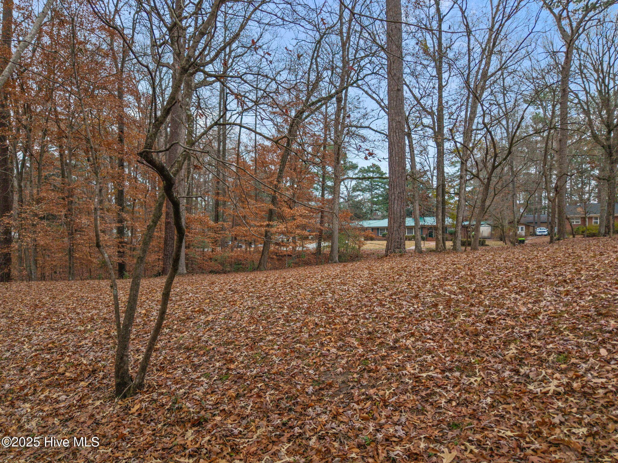 Residential Land at 203 W Woodlawn Drive, Williamston, NC 27892, photo 2 of 2