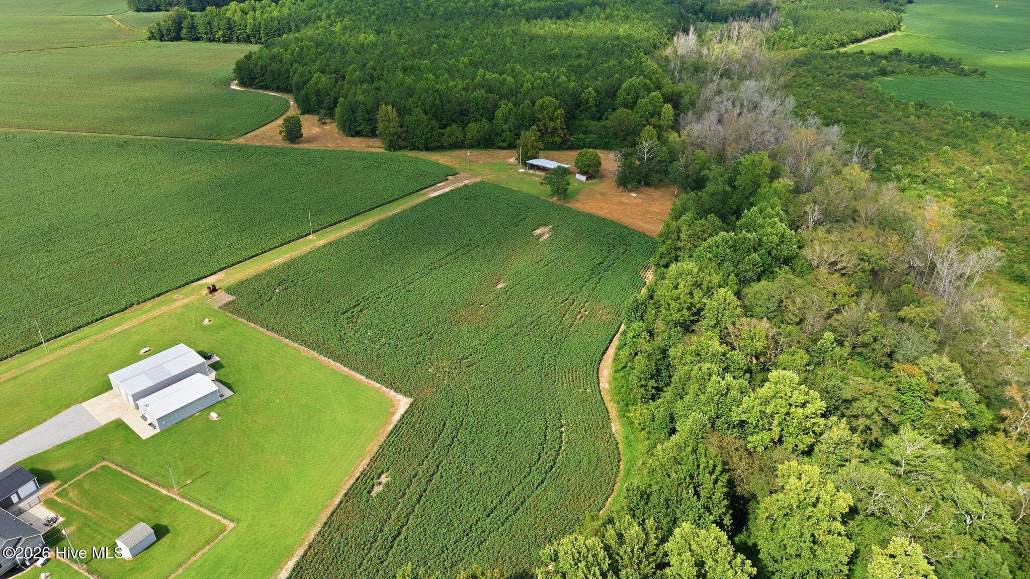 1811 Cannon Road, Hobgood, NC 27843