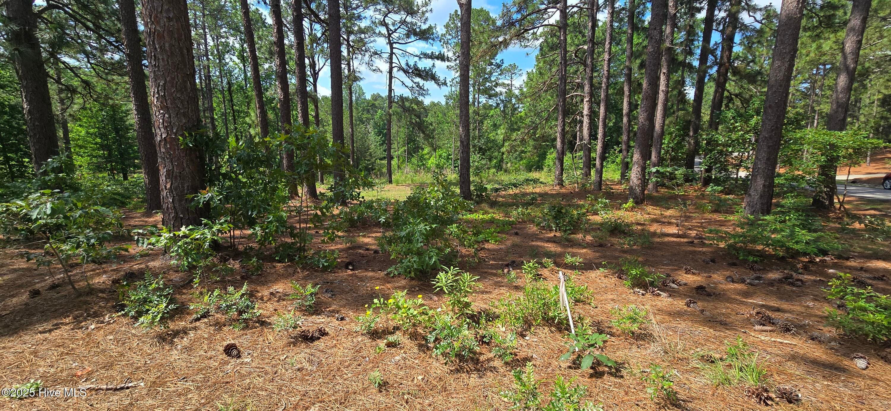 Residential Lot at 101 3207R Owens Circle, Seven Lakes, NC 27376, photo 6 of 6