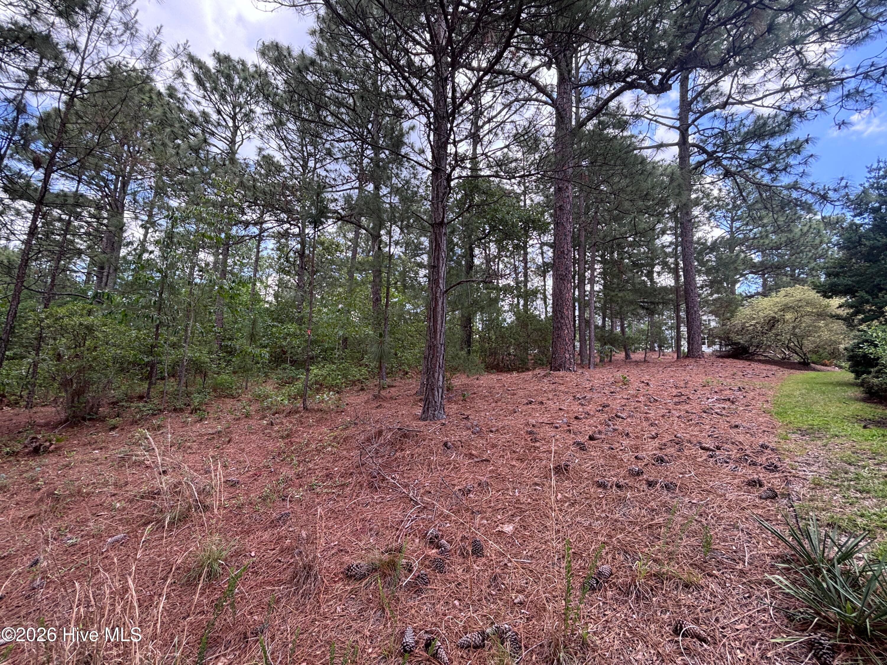 Residential Lot at 111 Callis Circle, West End, NC 27376, photo 17 of 18