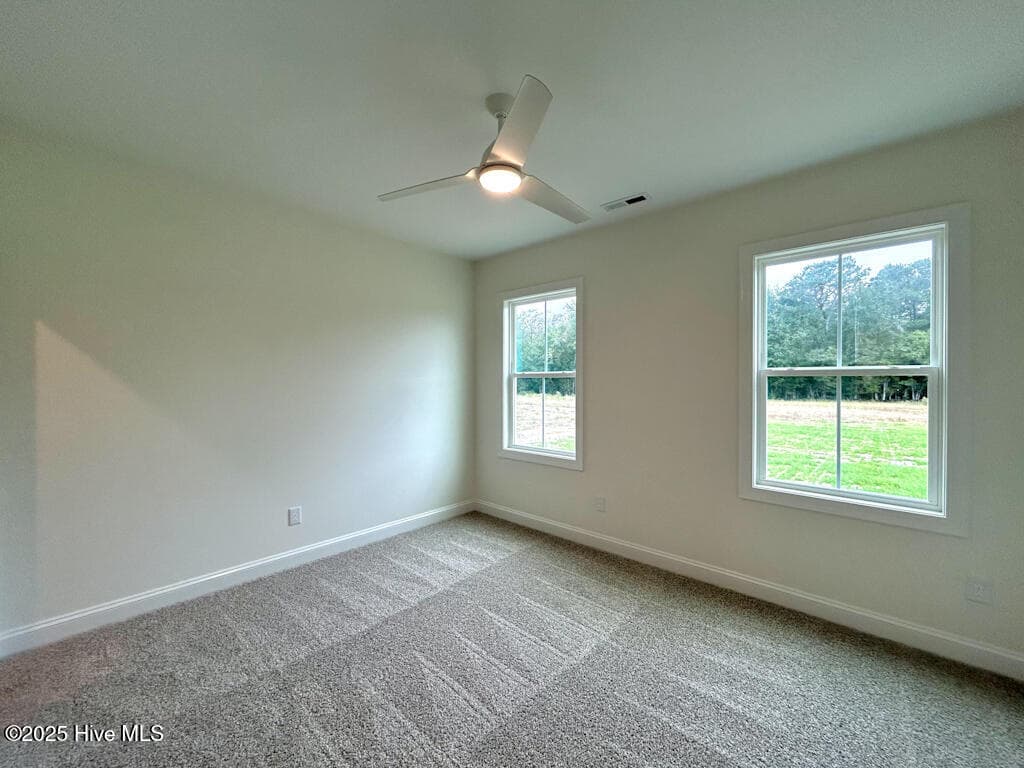 SIMILAR PHOTO - 818 Tupelo Tree Drive, Hubert, NC 28539