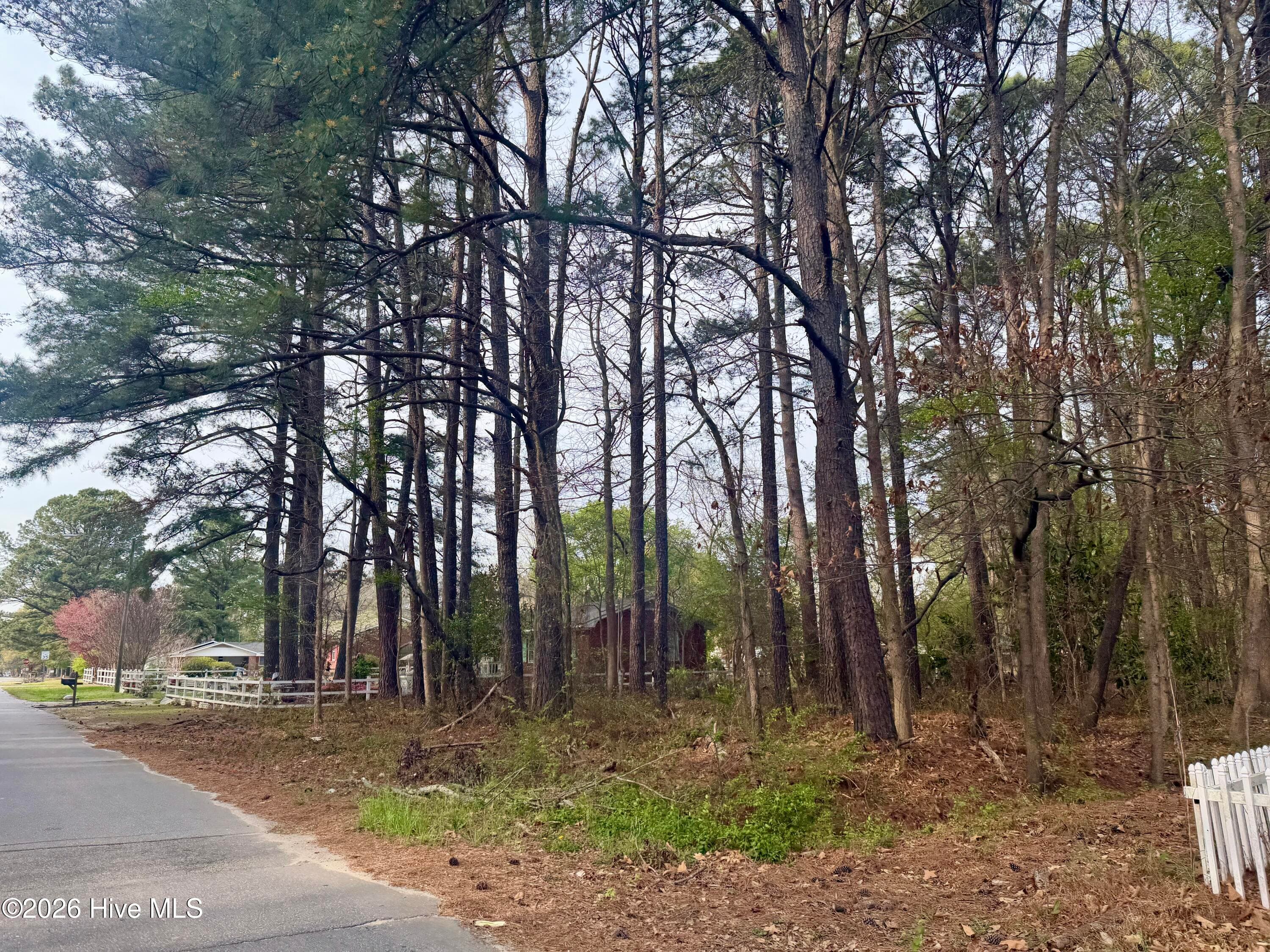 Residential Lot at 307 Viverette Avenue, Battleboro, NC 27809, photo 2 of 2