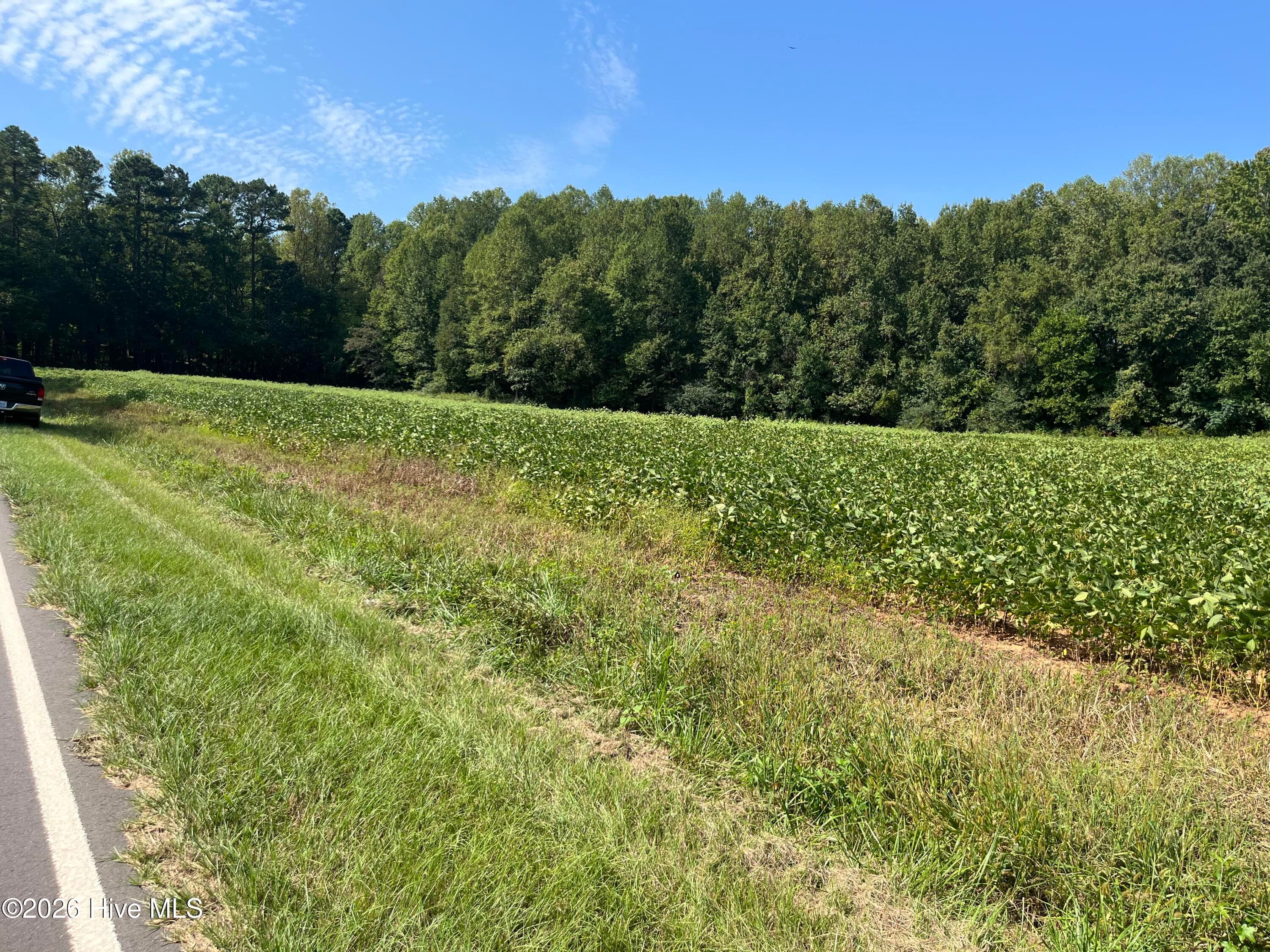 Undeveloped at 9011 Pleasant Grove Church Road, Spring Hope, NC 27882, photo 10 of 11