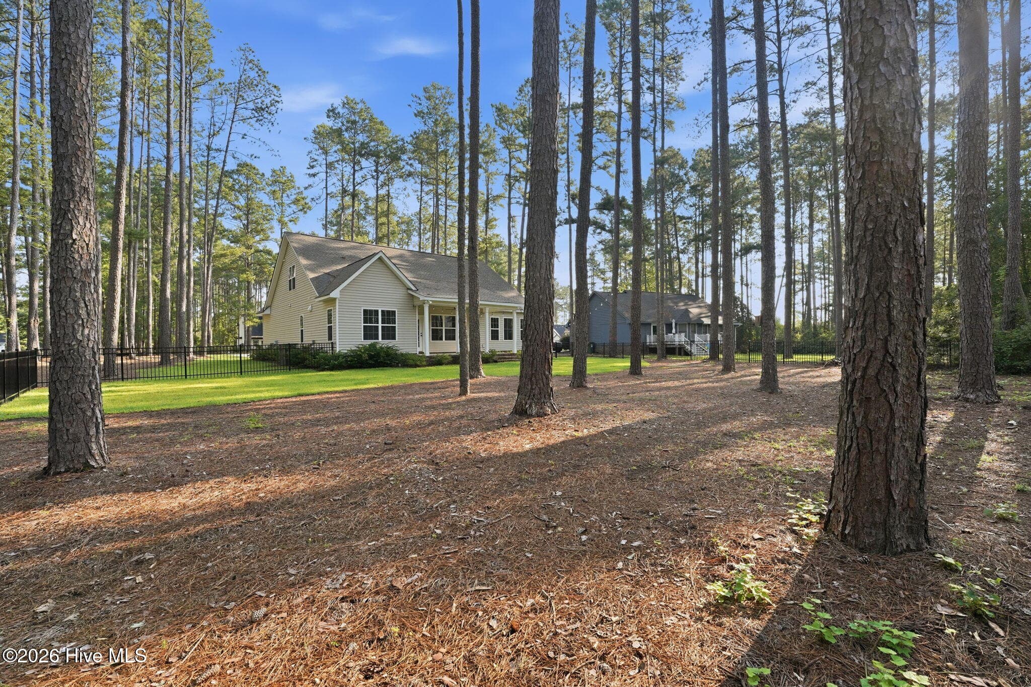 Property showing mature pines - 16620 Titmouse Court, Wagram, NC 28396
